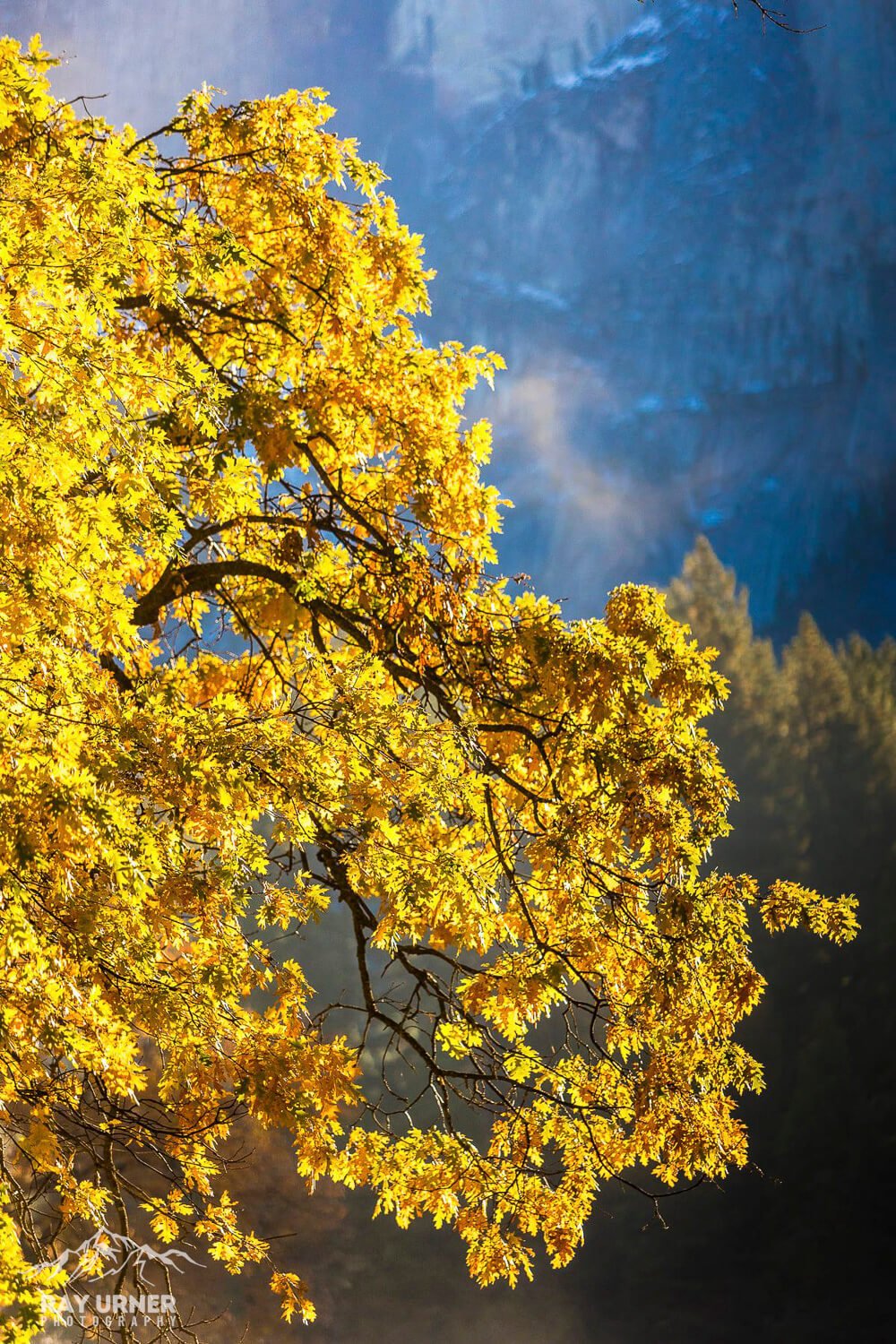 Yosemite-National-Park-Fall-Colors-007.jpg