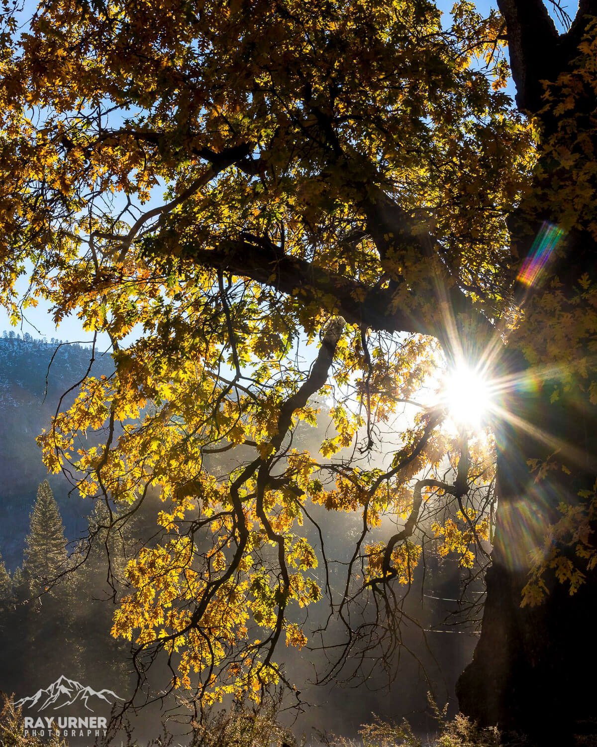 Yosemite-National-Park-Fall-Colors-005.jpg