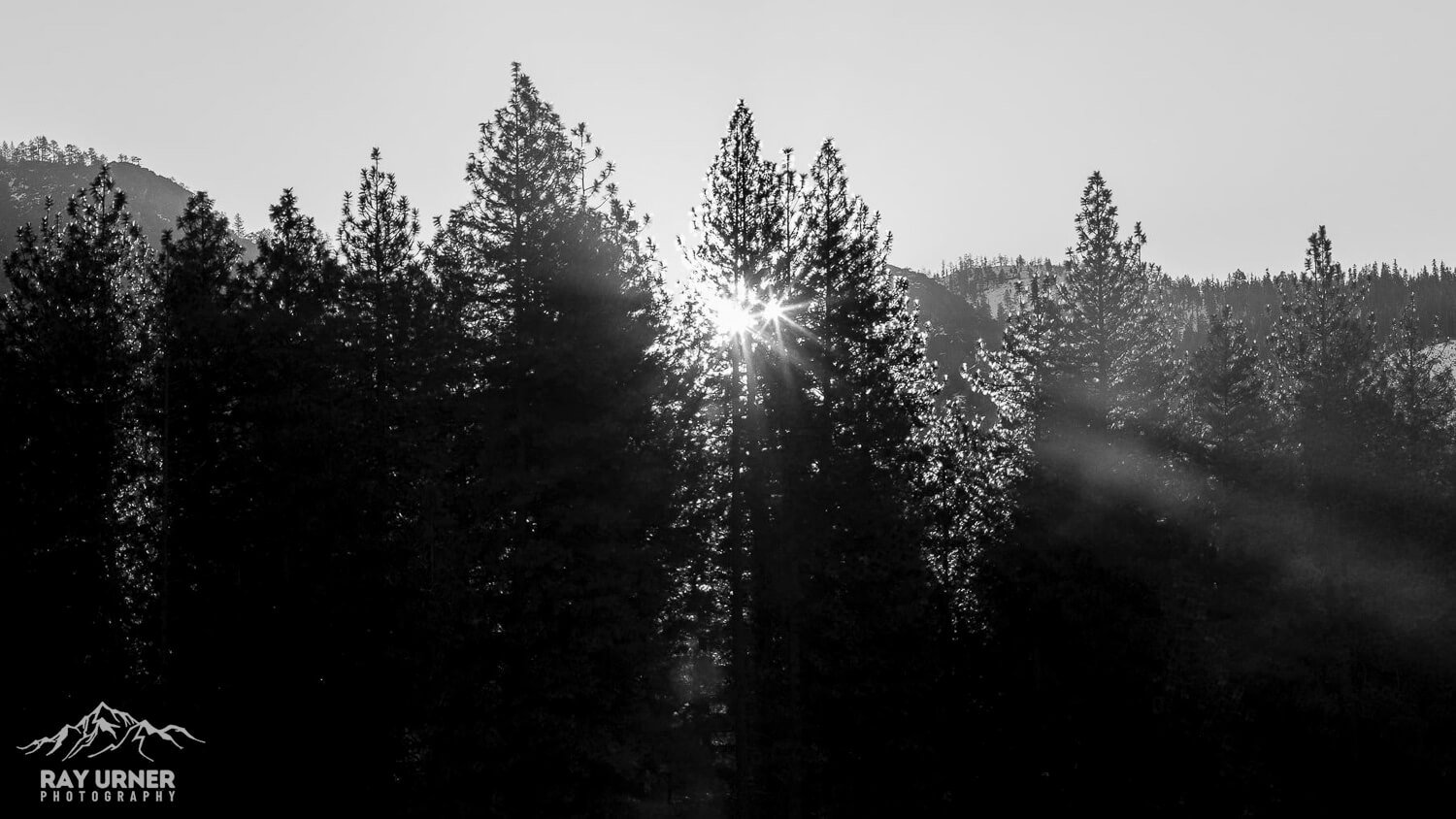 Yosemite-Elm-Tree-Half-Dome-Sunrise-002.jpg