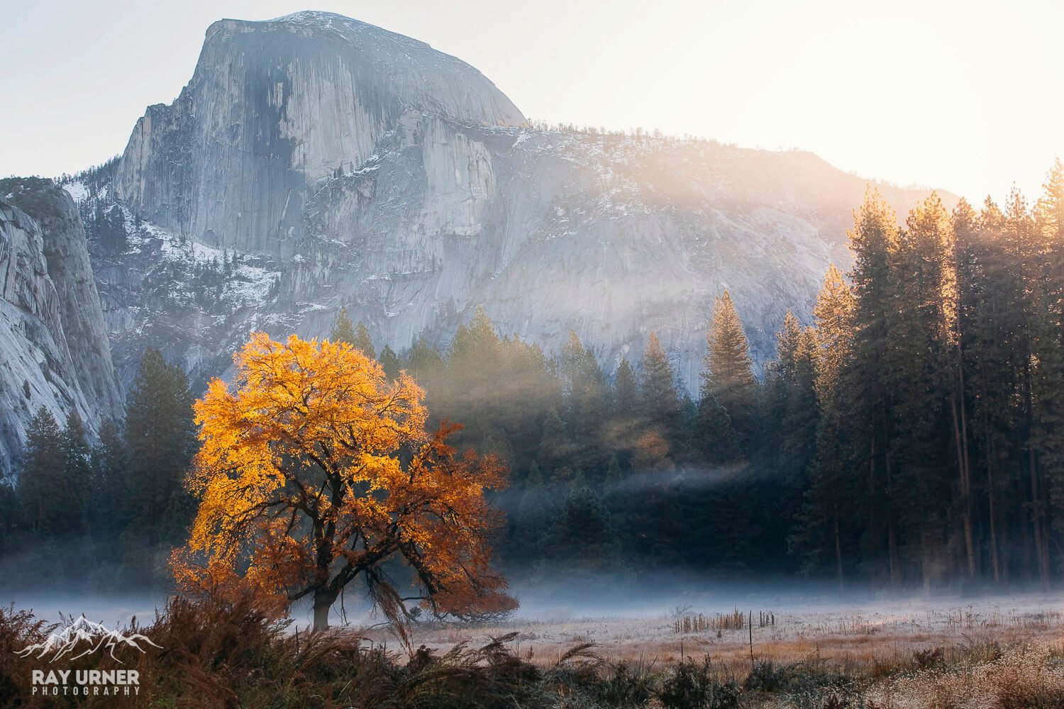 Yosemite-Elm-Tree-Half-Dome-Sunrise-003.jpg