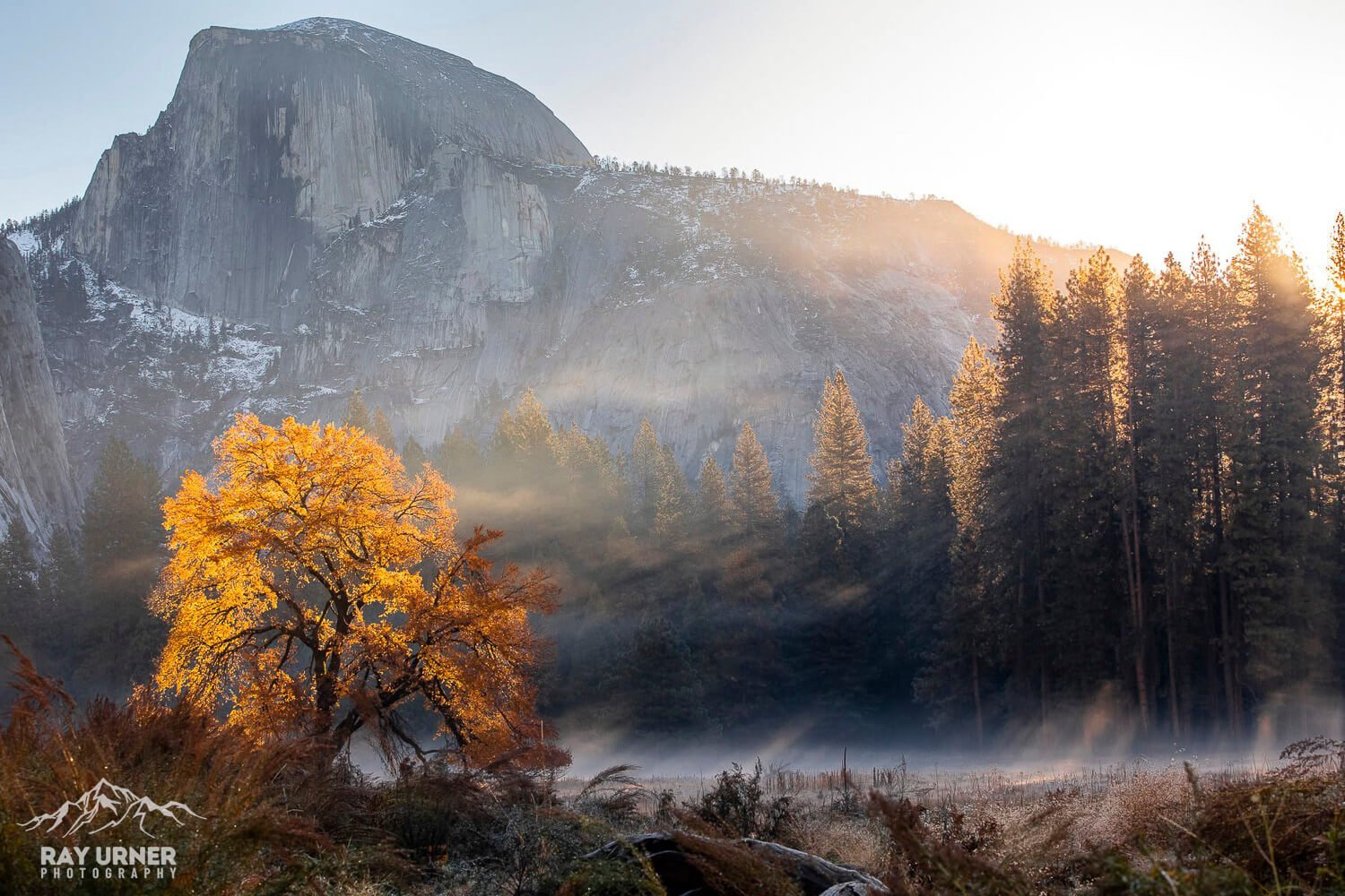 Yosemite-Elm-Tree-Half-Dome-Sunrise-005.jpg