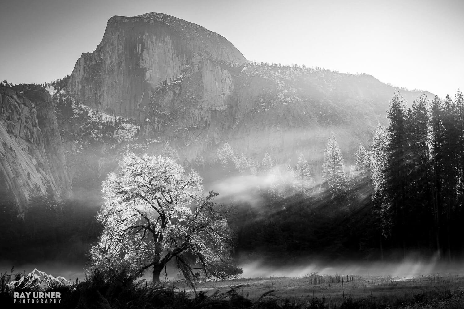Yosemite-Elm-Tree-Half-Dome-Sunrise-007.jpg
