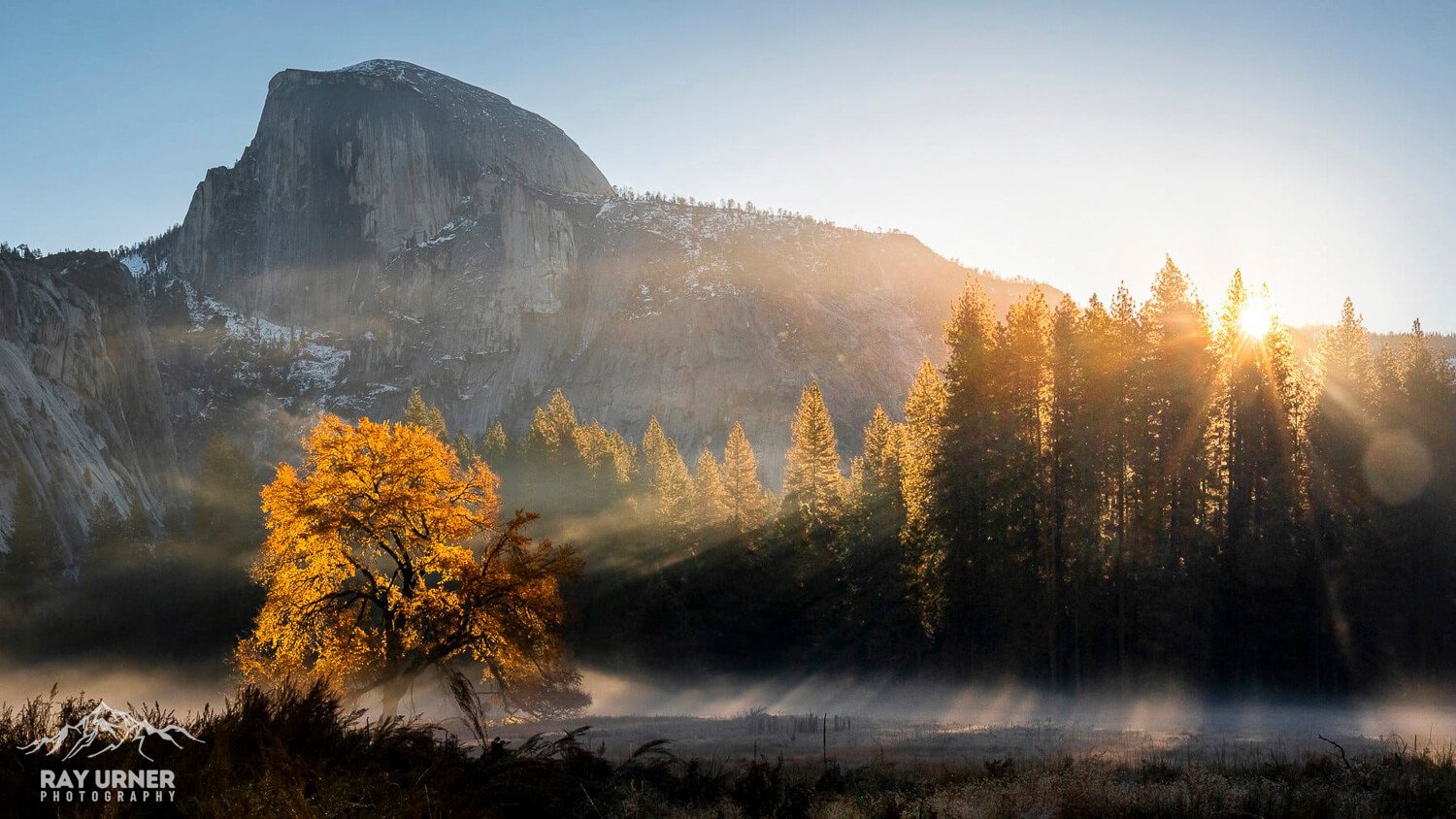 Yosemite-Elm-Tree-Half-Dome-Sunrise-008.jpg