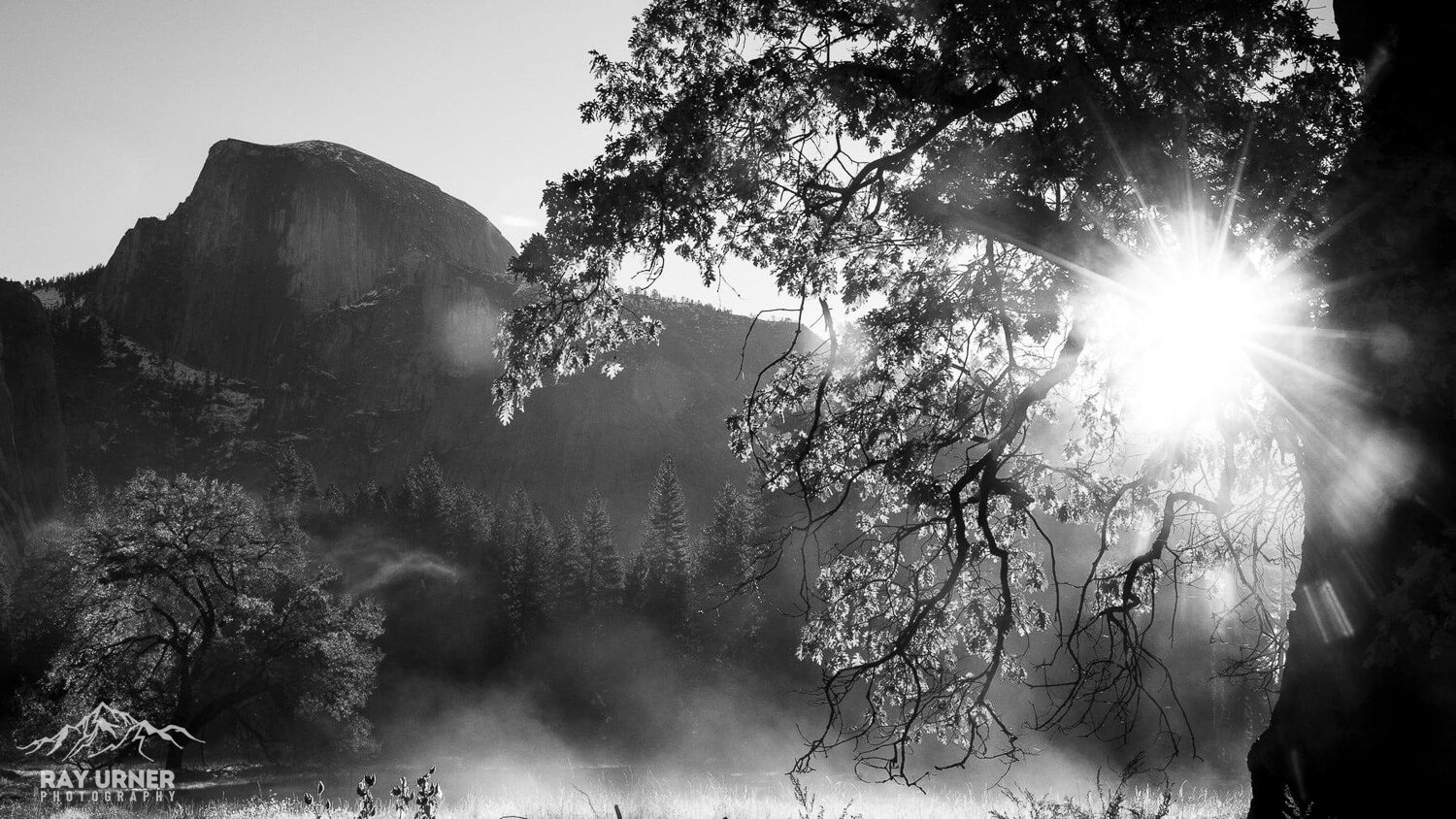 Yosemite-Elm-Tree-Half-Dome-Sunrise-009.jpg