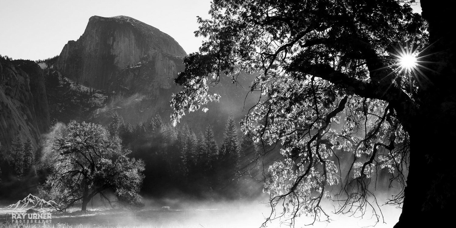 Yosemite-Elm-Tree-Half-Dome-Sunrise-011.jpg
