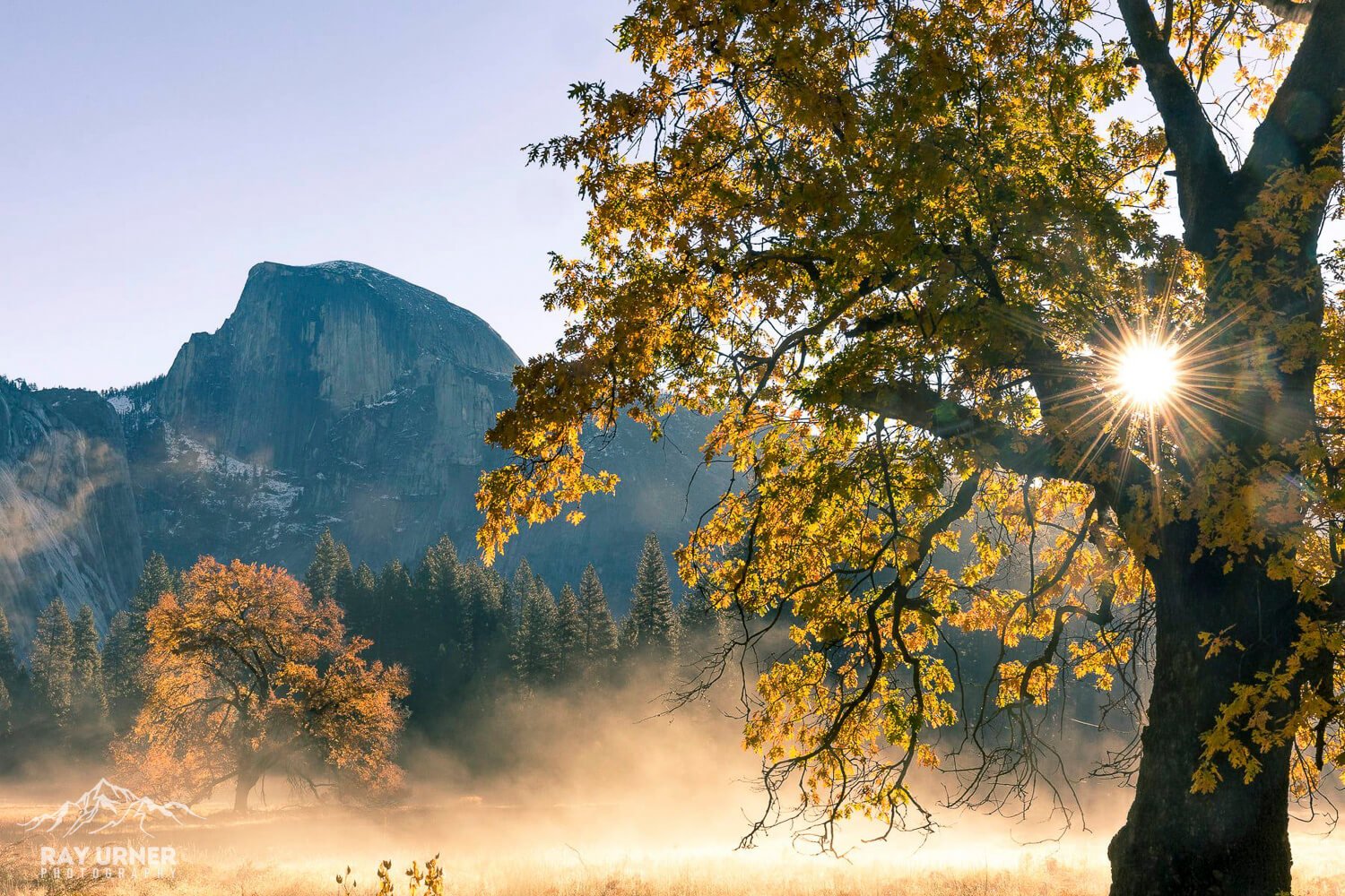 Yosemite-Elm-Tree-Half-Dome-Sunrise-012.jpg
