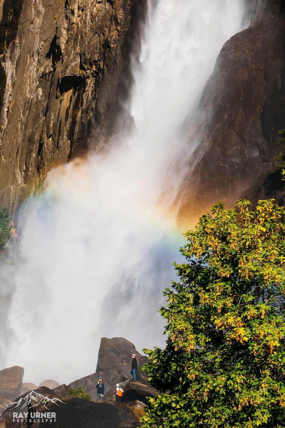 Lower-Yosemite-Falls-Rainbow-012.jpg