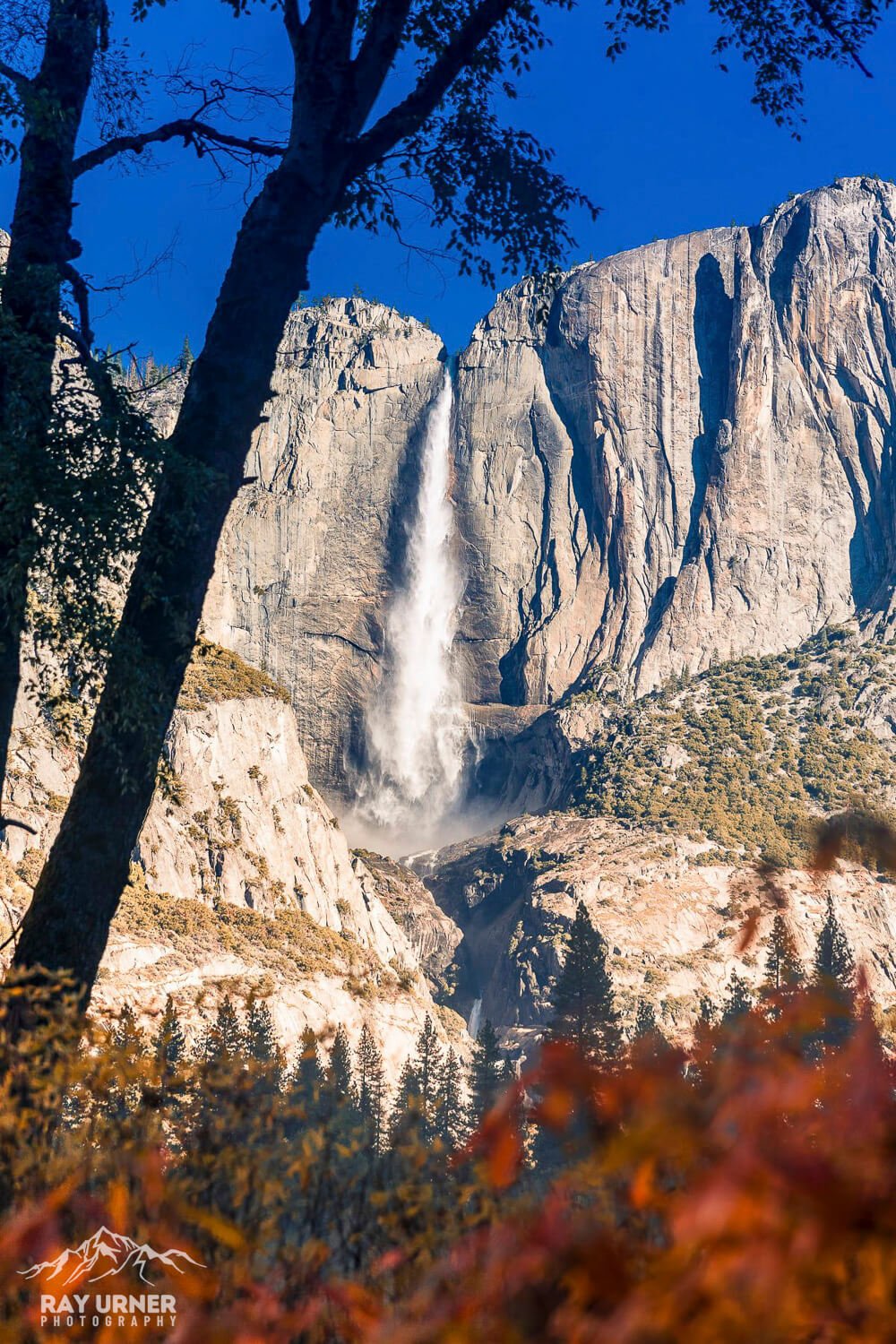 Yosemite-Falls-Swinging-Bridge-004.jpg