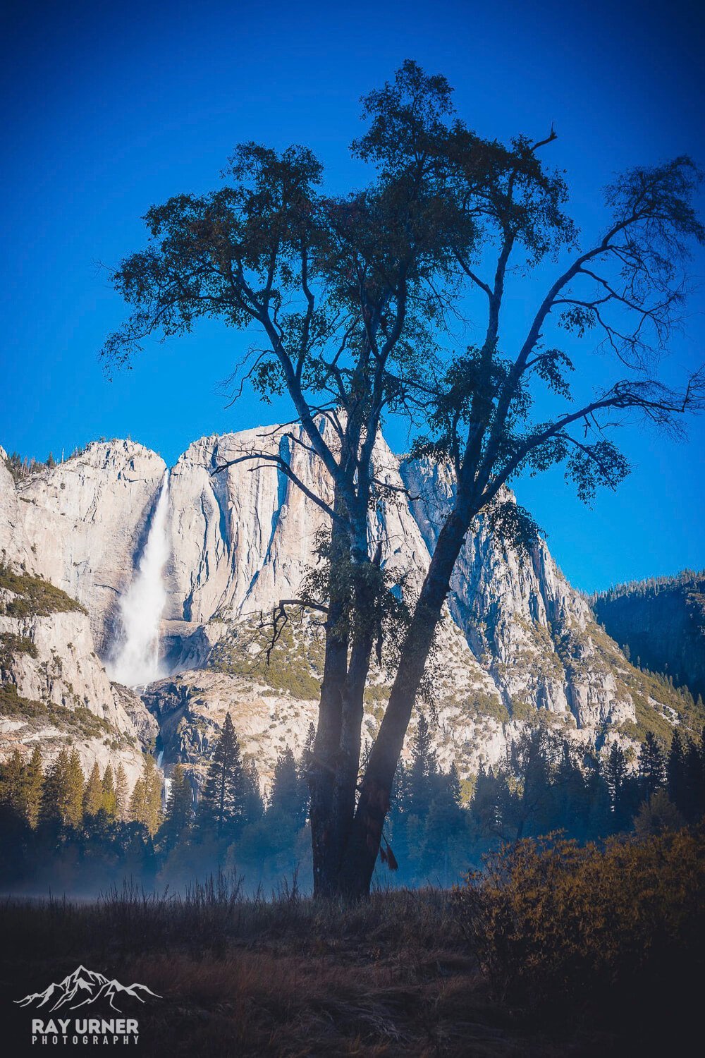Yosemite-Falls-Swinging-Bridge-012.jpg