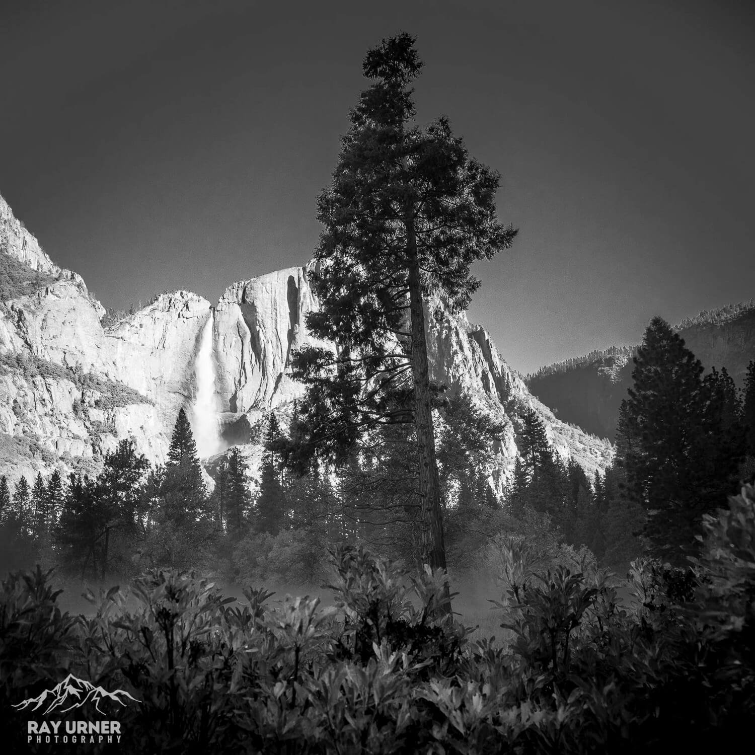 Yosemite-Falls-Swinging-Bridge-009.jpg