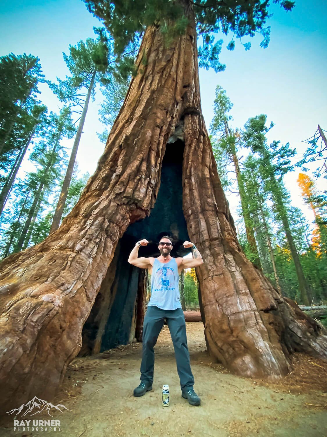 Mariposa-Grove-Giant-Sequoias-California-Tunnel-Tree-5.jpg