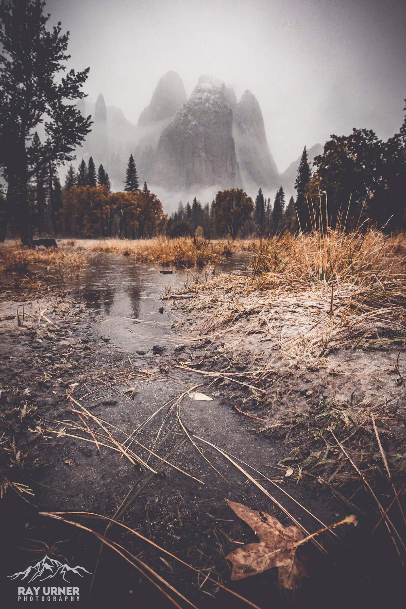 Climate-Change-Earth-Day-Yosemite-National-Park-001.jpg