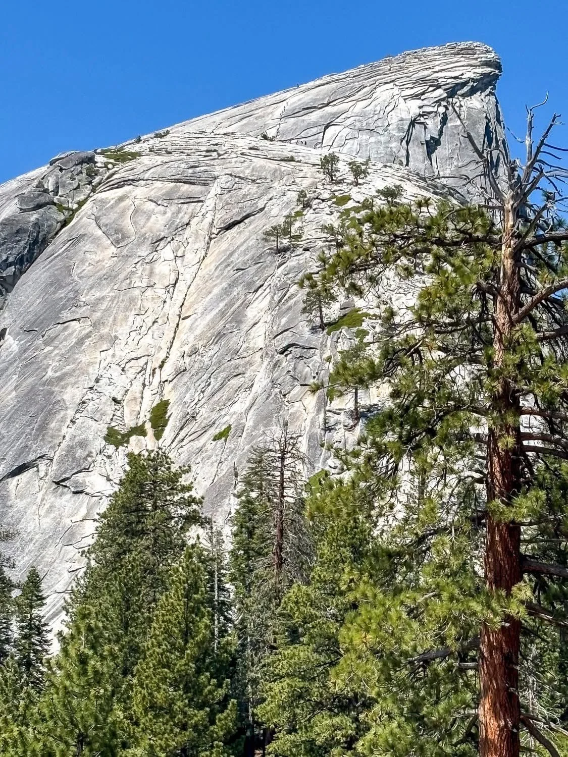 Yosemite-National-Park-Sub-Dome-Half-Dome.JPG