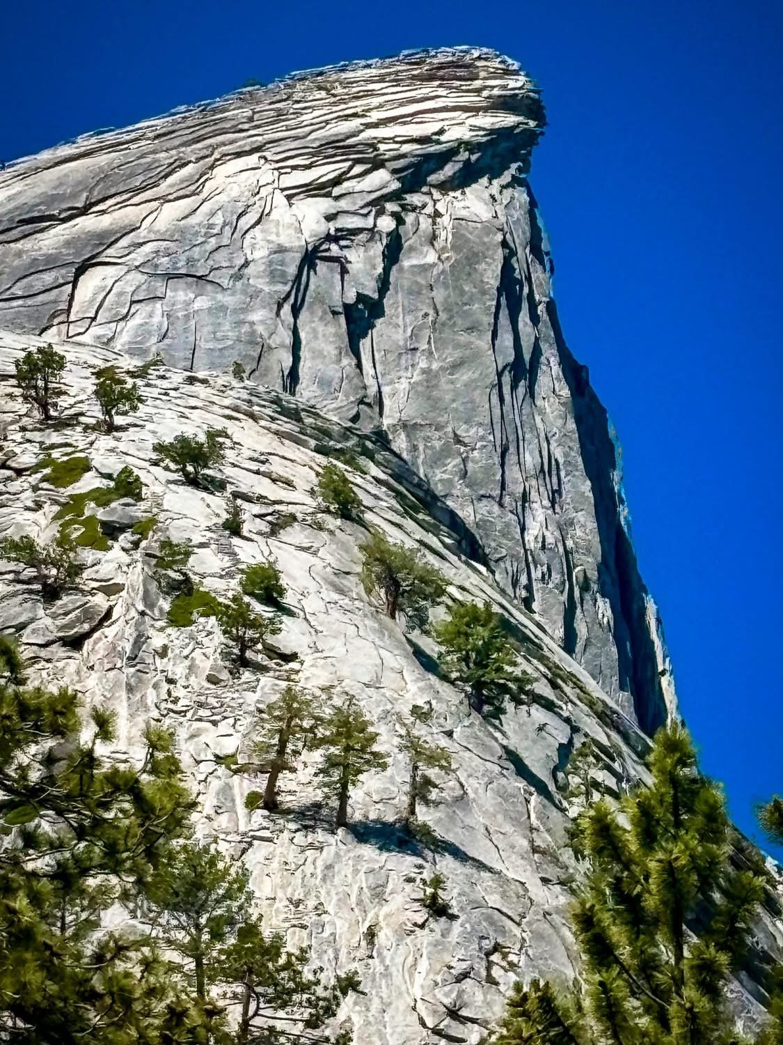 Yosemite-National-Park-Half-Dome-Summit.JPG