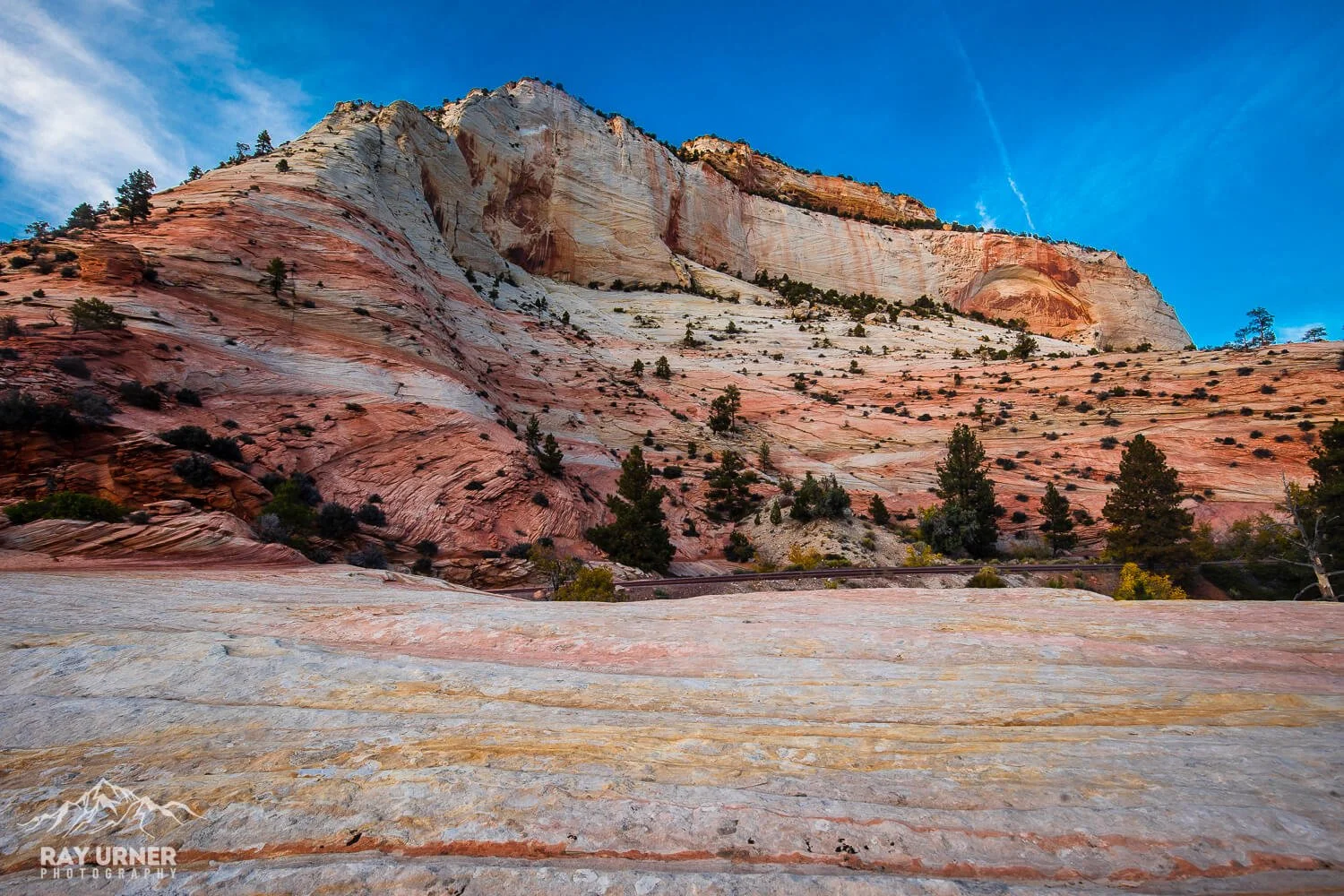 Sunset at the Checkerboard Mesa area of Zion National Park in Utah