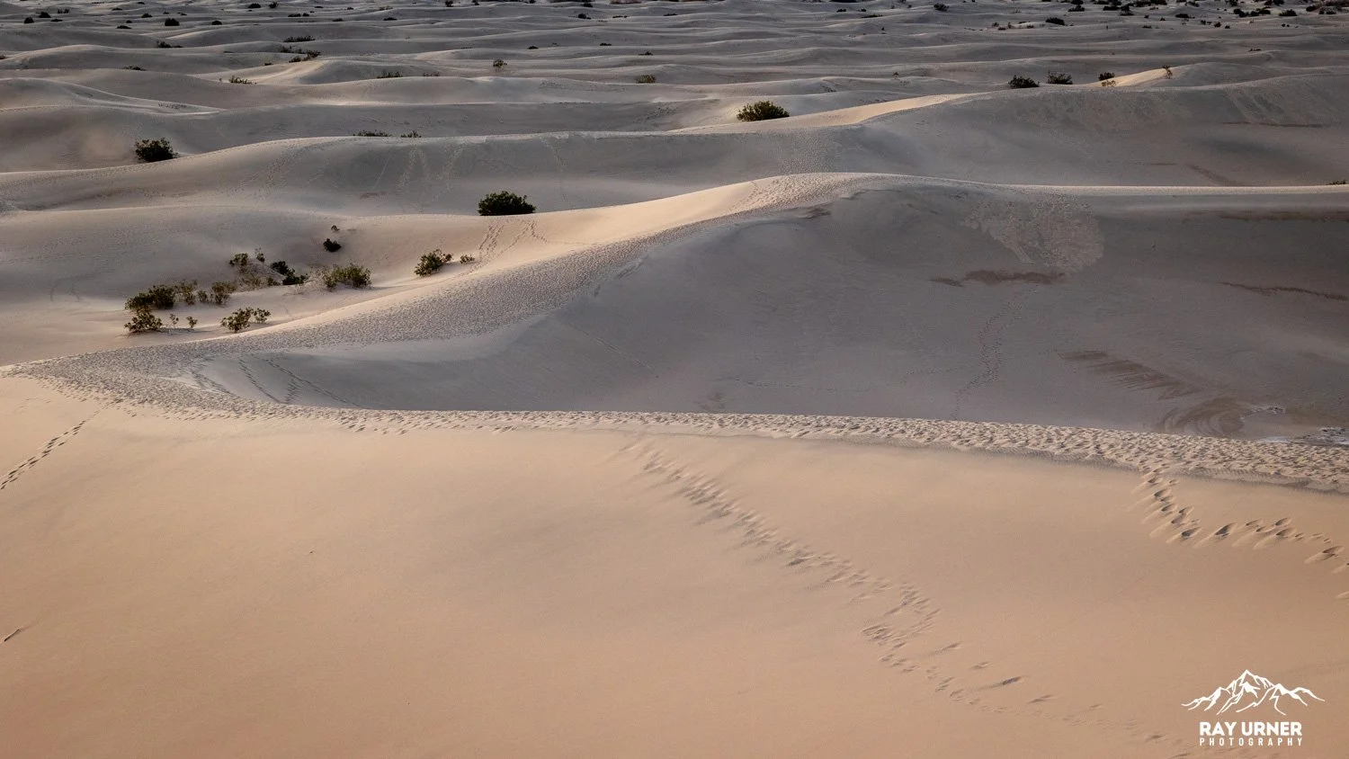 Death-Valley-Mesquite-Sand-Dunes-Sunrise-003.jpg