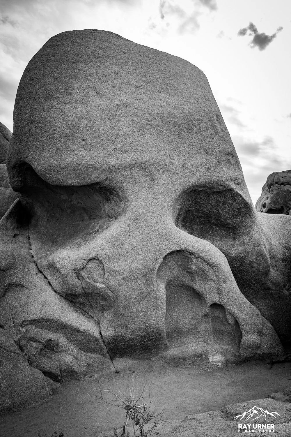 Joshua-Tree-Skull-Rock-003.jpg