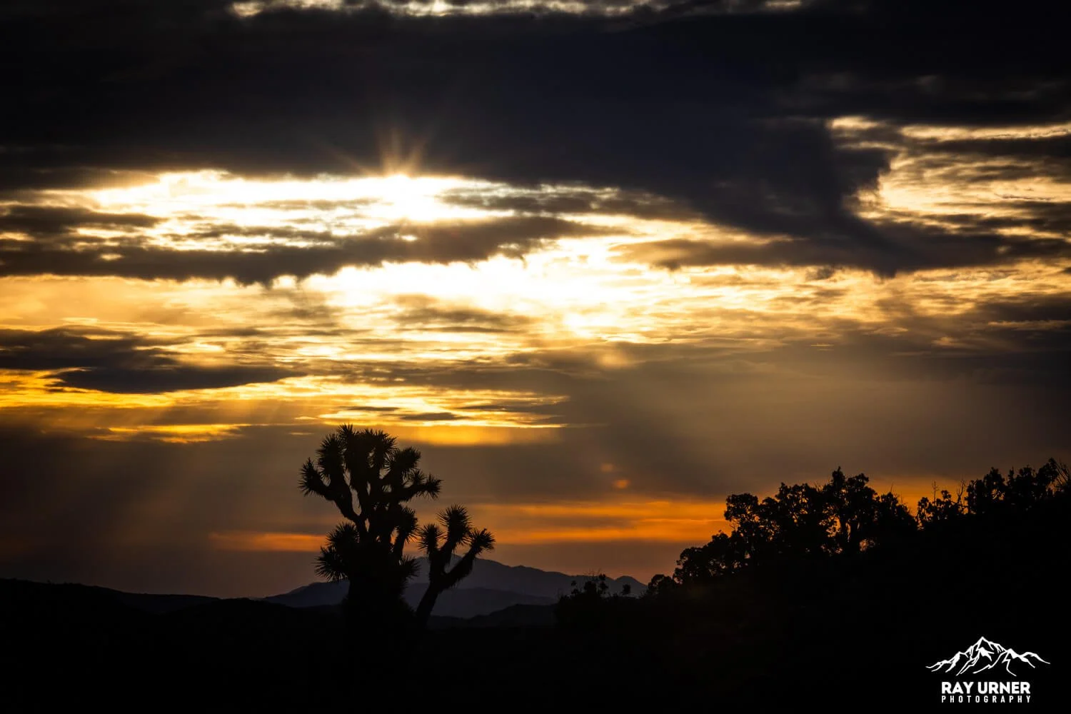 Joshua-Tree-Keys-View-Sunrise-012.jpg