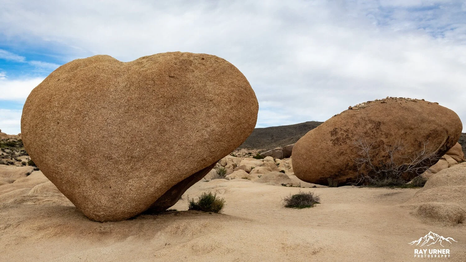 Joshua-Tree-Heart-Rock-002.jpg