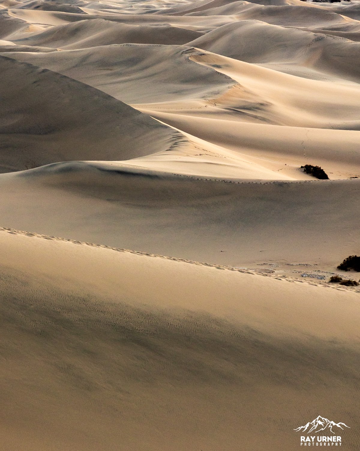 Death-Valley-Mesquite-Sand-Dunes-Sunrise-005.jpg