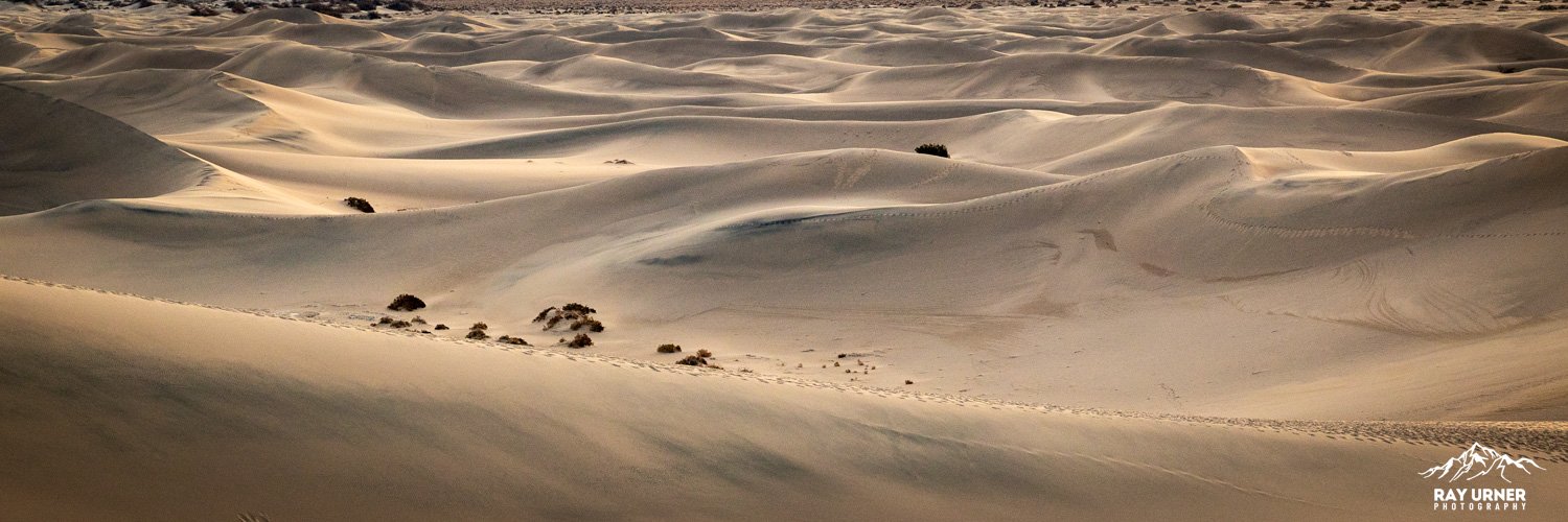 Death-Valley-Mesquite-Sand-Dunes-Sunrise-001.jpg