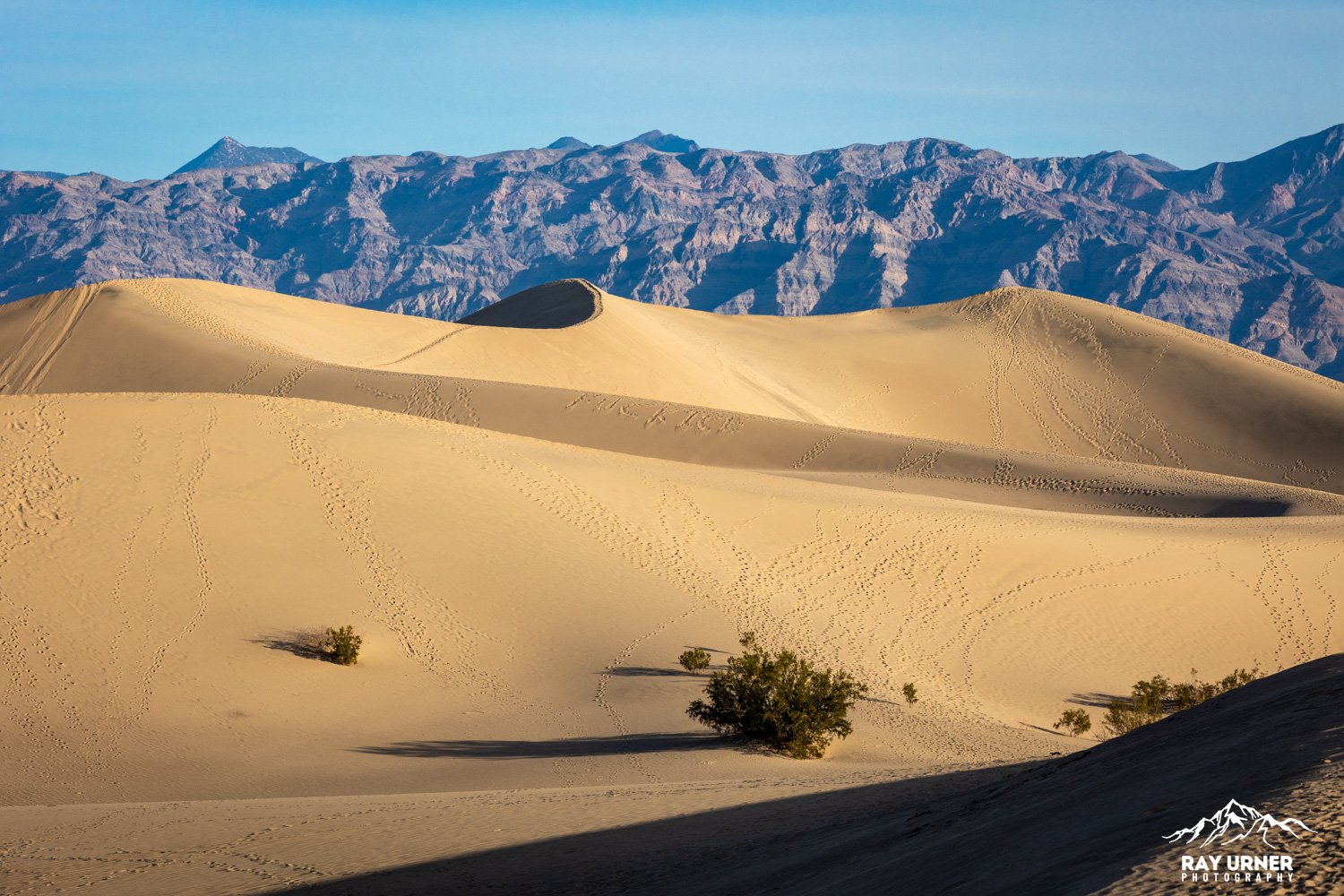 Death-Valley-Mesquite-Sand-Dunes-Sunrise-099.jpg