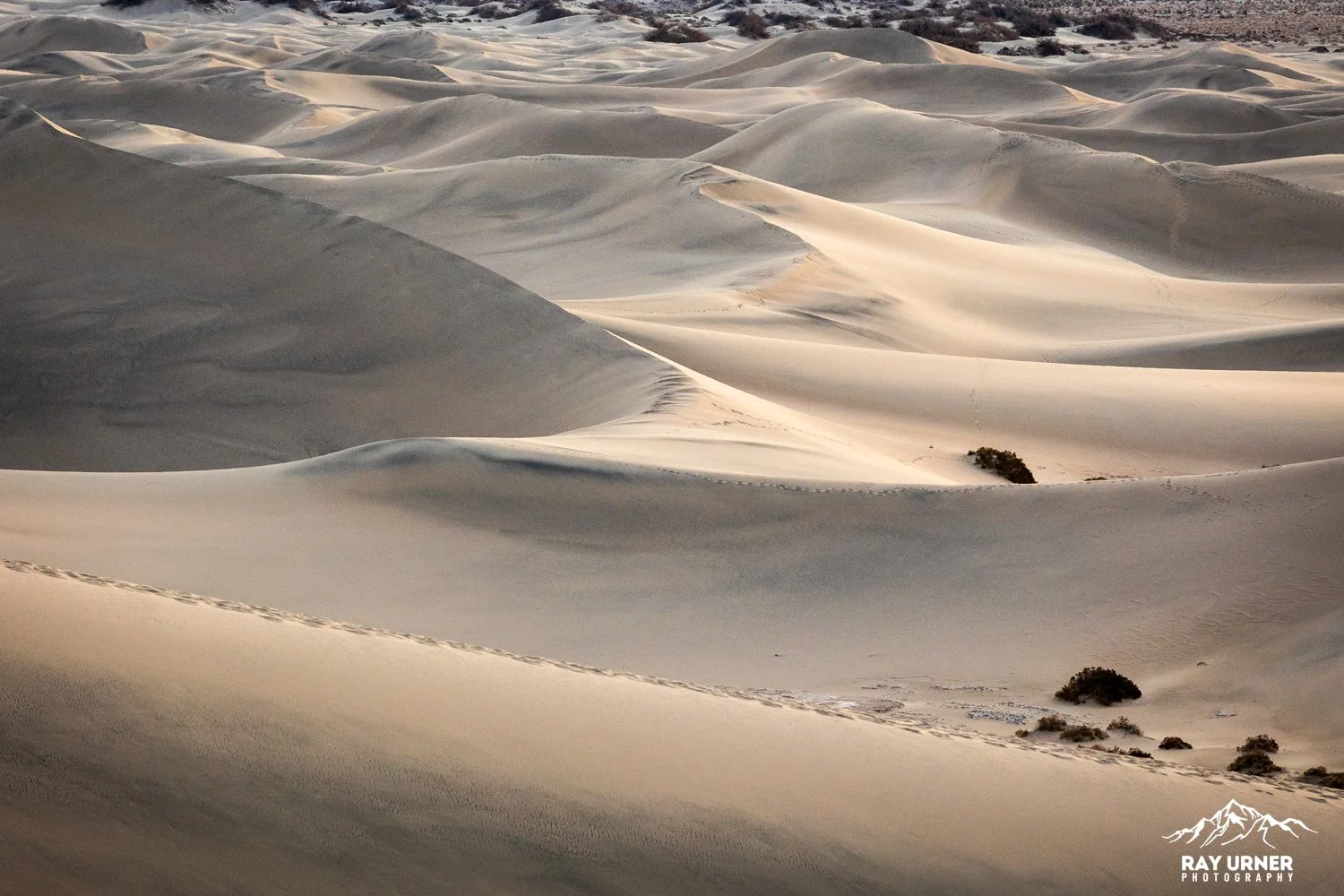 Death-Valley-Mesquite-Sand-Dunes-Sunrise-004.jpg