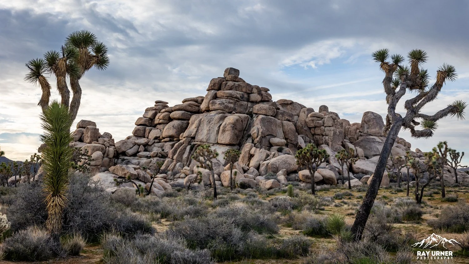 Joshua-Tree-Cap-Rock-004.jpg