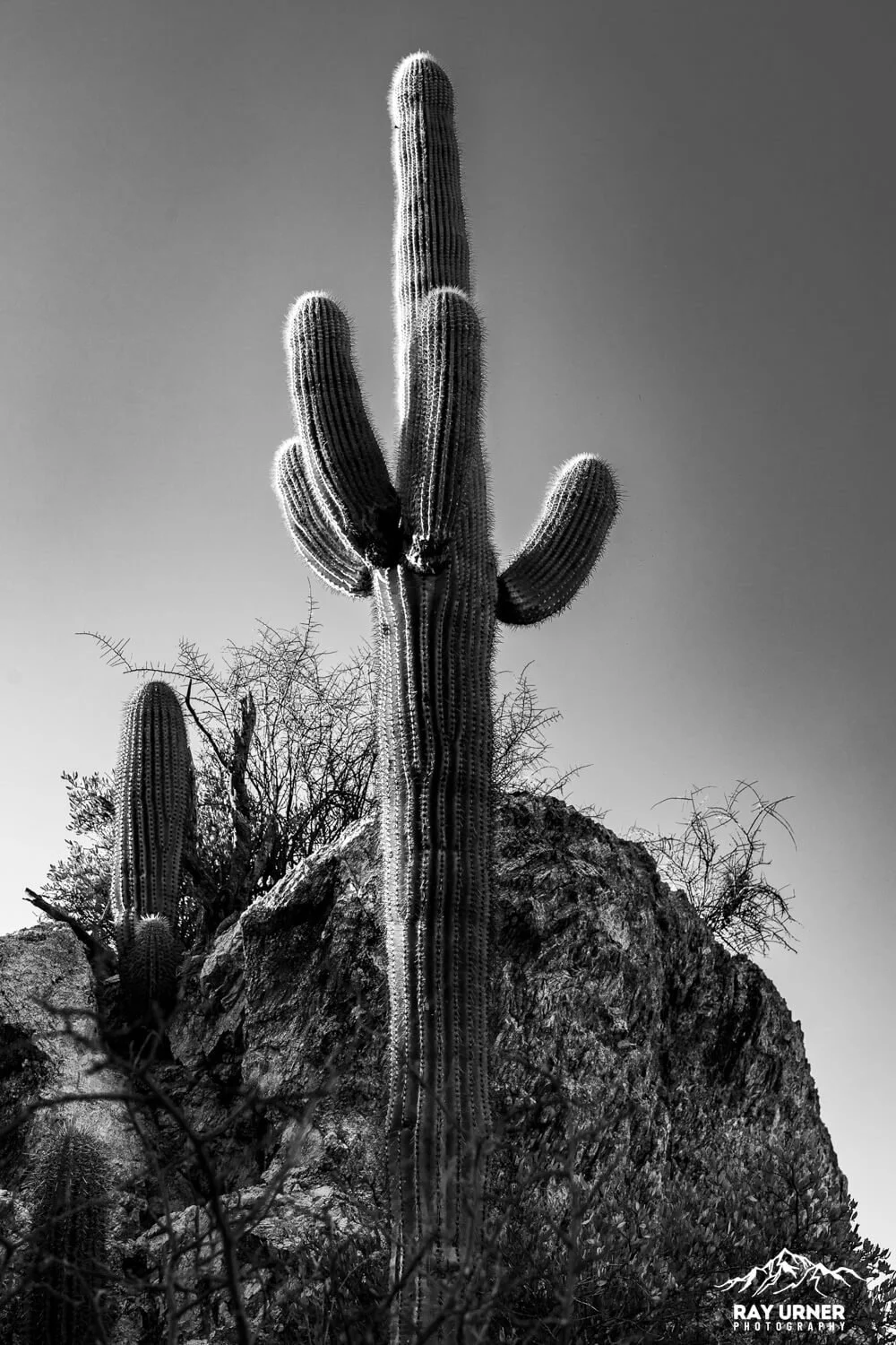 Saguaro-Javelina-Rocks-Overlook-003.jpg