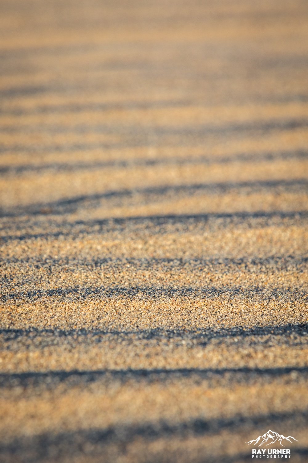 Death-Valley-Mesquite-Sand-Dunes-Sunrise-076.jpg