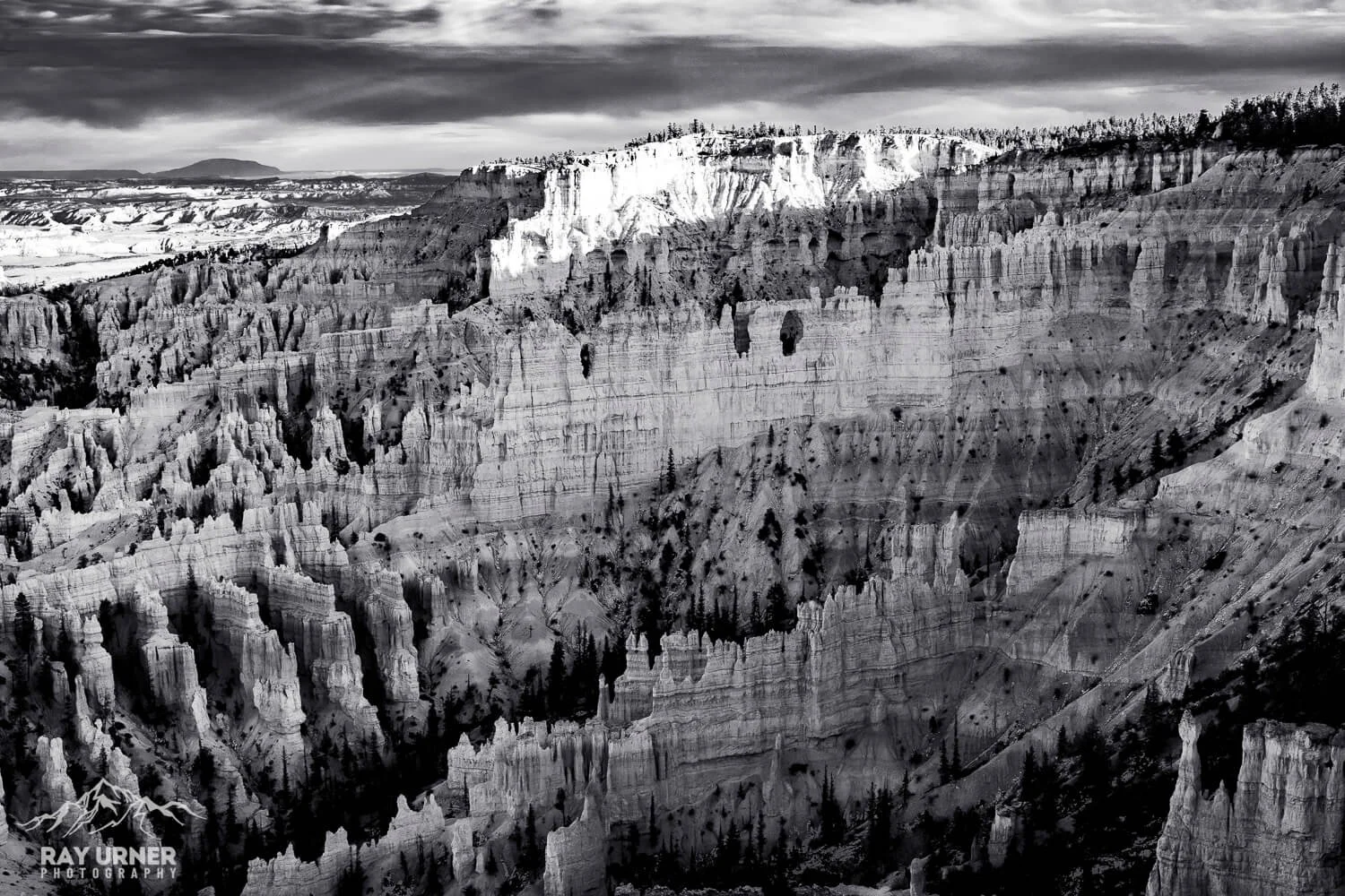 Black and white photo of a deep canyon with layered rock formations and sparse trees at the edges.