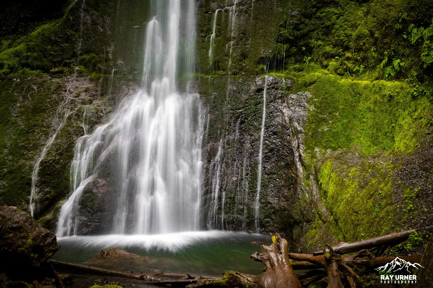 Marymere-Falls-Olympic-010.jpg
