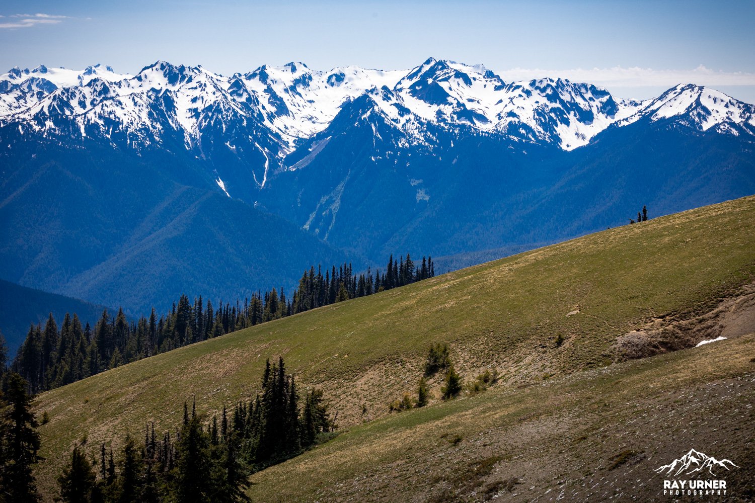 Hurricane-Ridge-Olympic-015.jpg