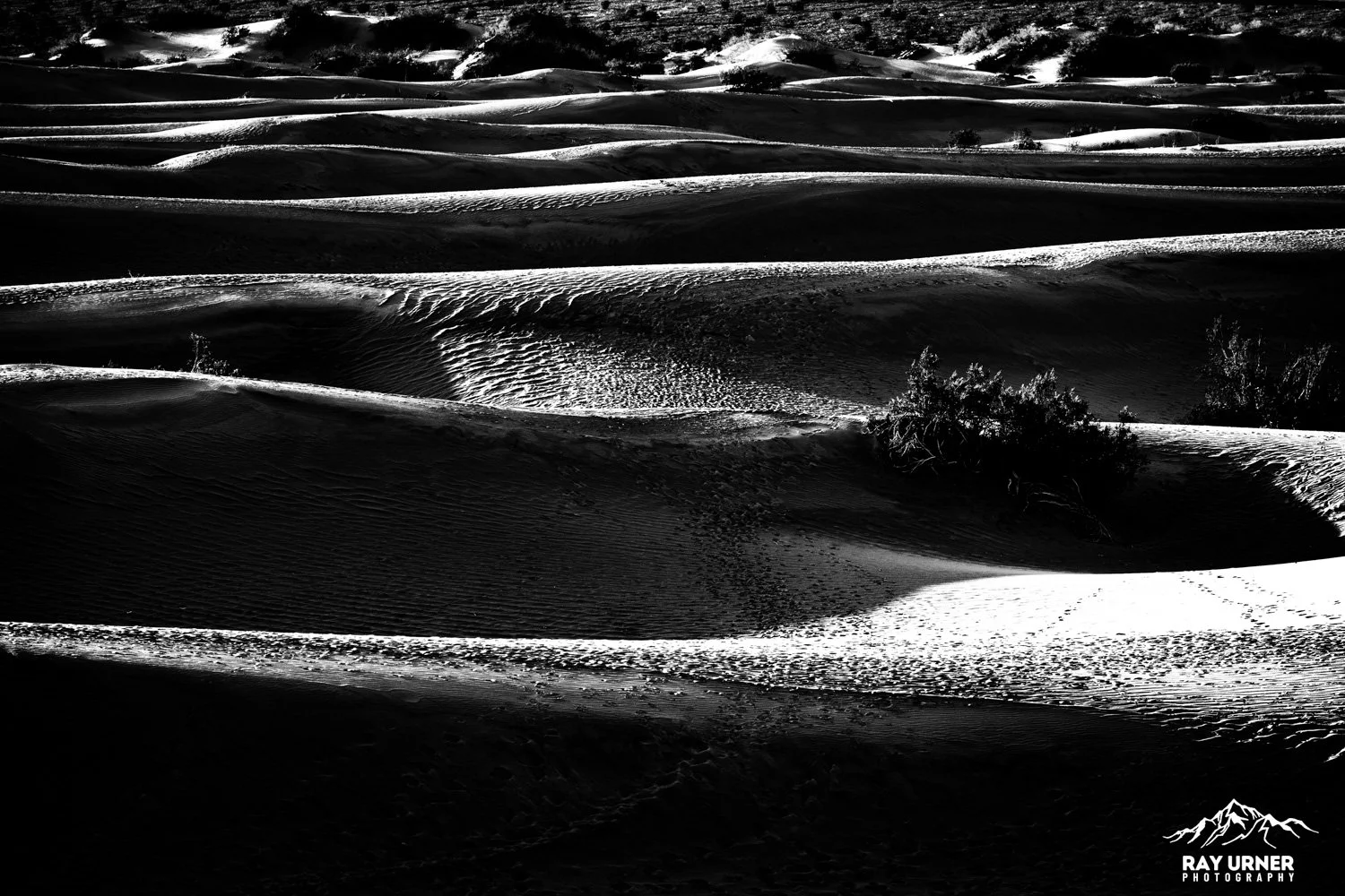 Death-Valley-Mesquite-Sand-Dunes-Sunrise-096.jpg