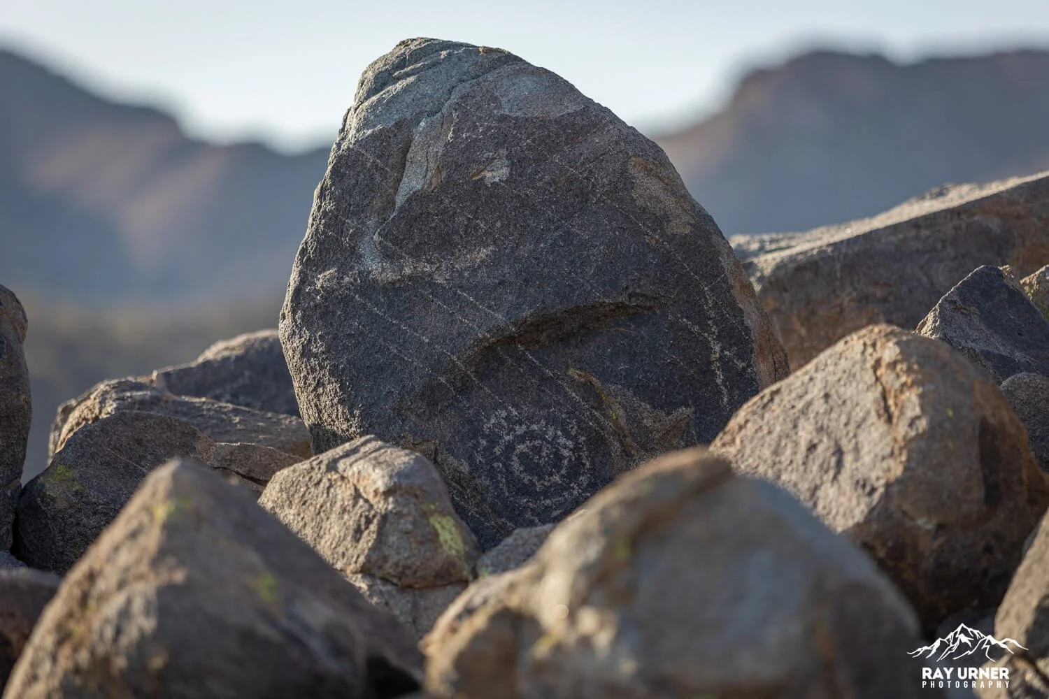 Saguaro-Signal-Hill-Petroglyphs 010.jpg