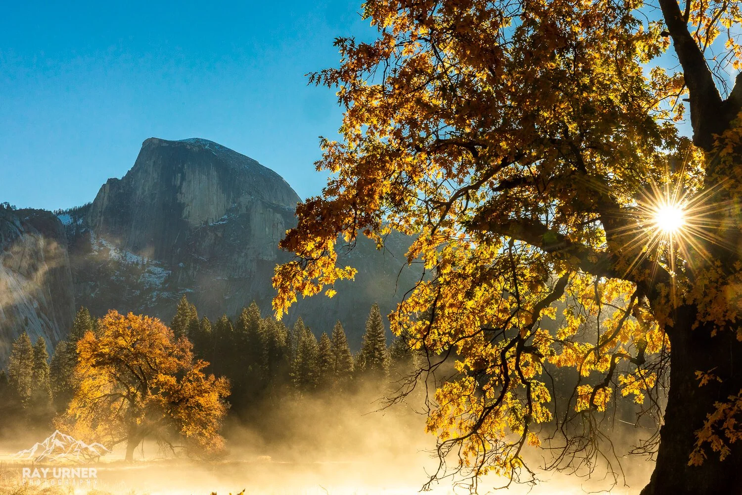 Sunlight shining through the leaves of a large tree in a mountainous landscape during autumn, with mist rising from the ground and a rocky mountain in the background.