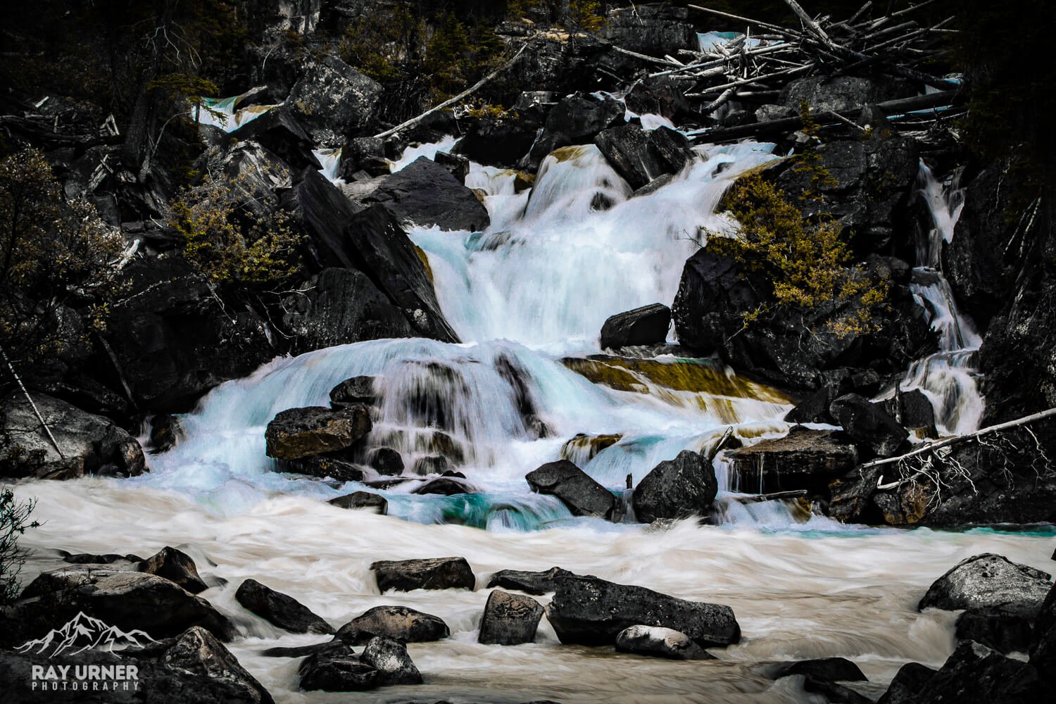 Yoho National Park - Meeting of the Waters Confluent