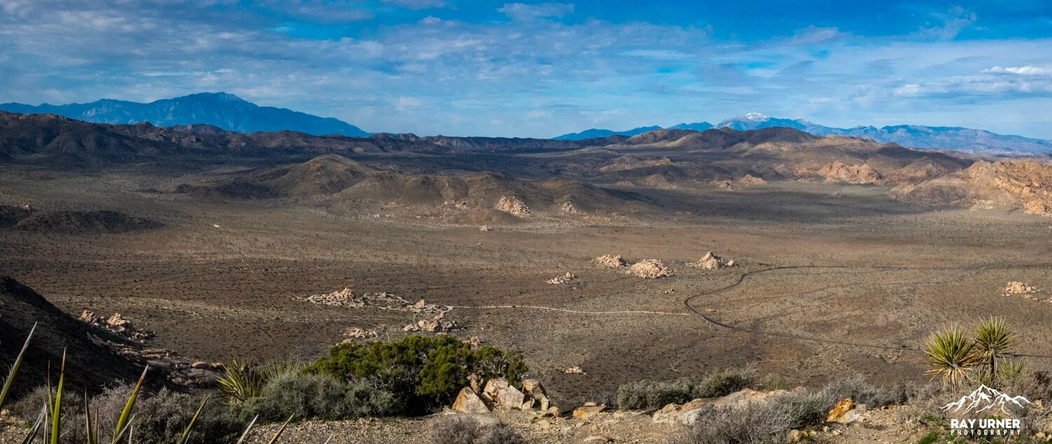 Joshua-Tree-Ryan-Mountain-017.jpg