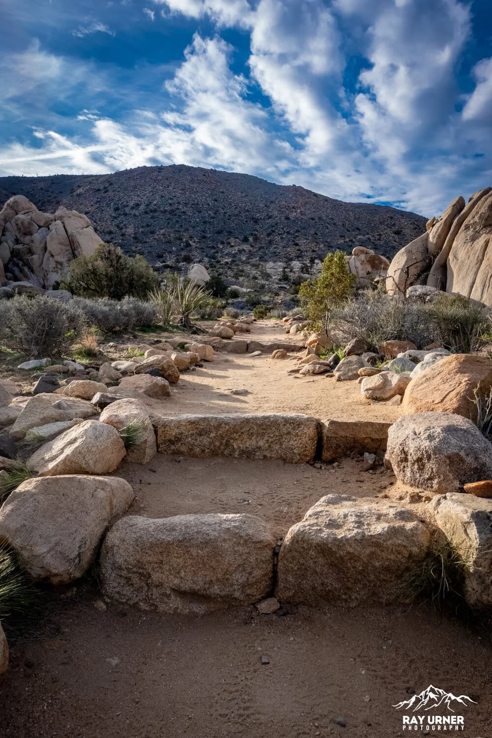 Joshua-Tree-Ryan-Mountain-001.jpg