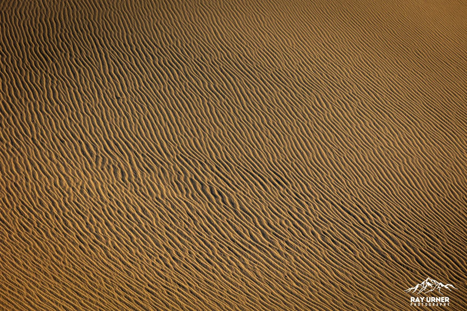 Death-Valley-Mesquite-Sand-Dunes-Sunrise-051.jpg