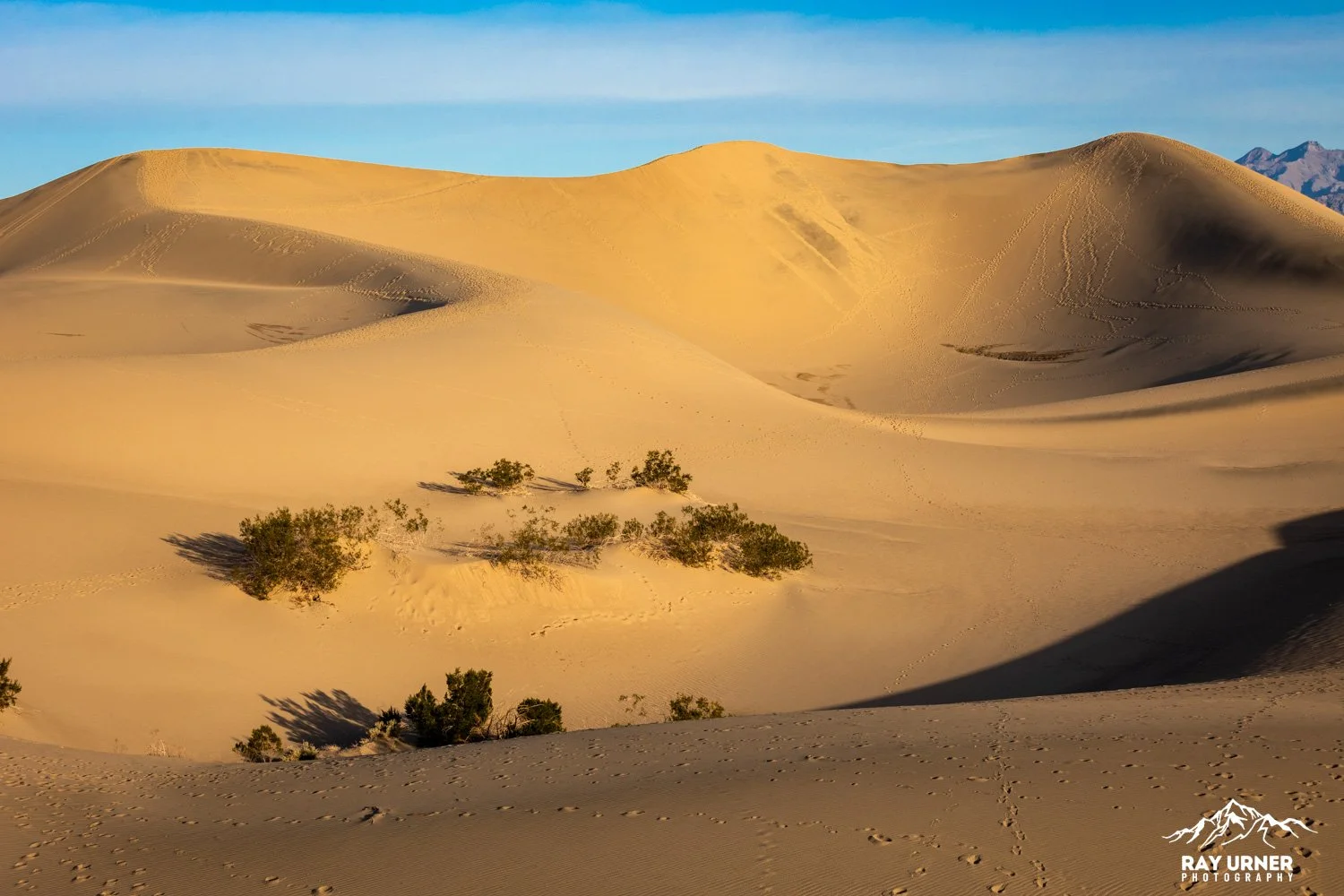 Death-Valley-Mesquite-Sand-Dunes-Sunrise-085.jpg