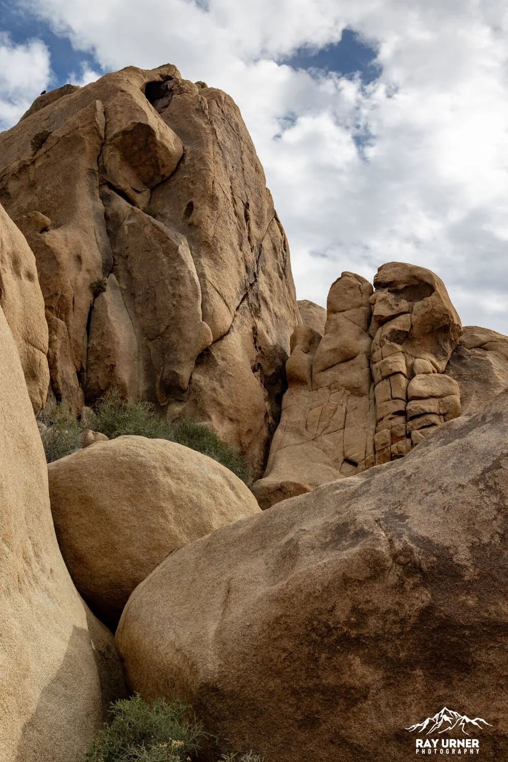 Joshua-Tree-Split-Rock-011.jpg