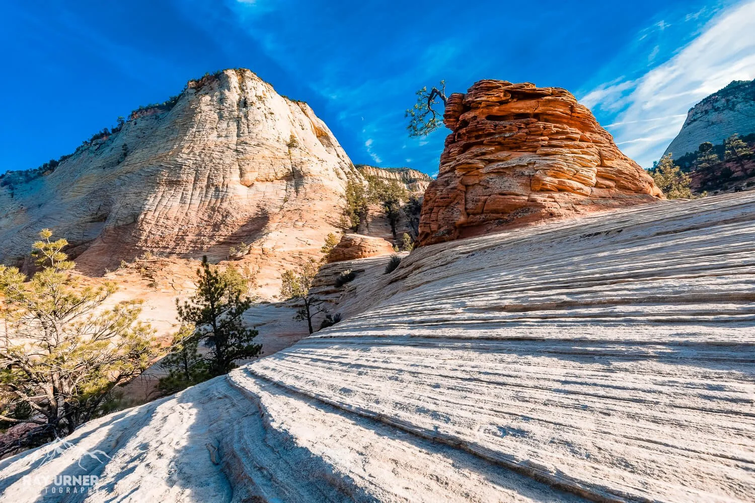 Checkerboard Mesa