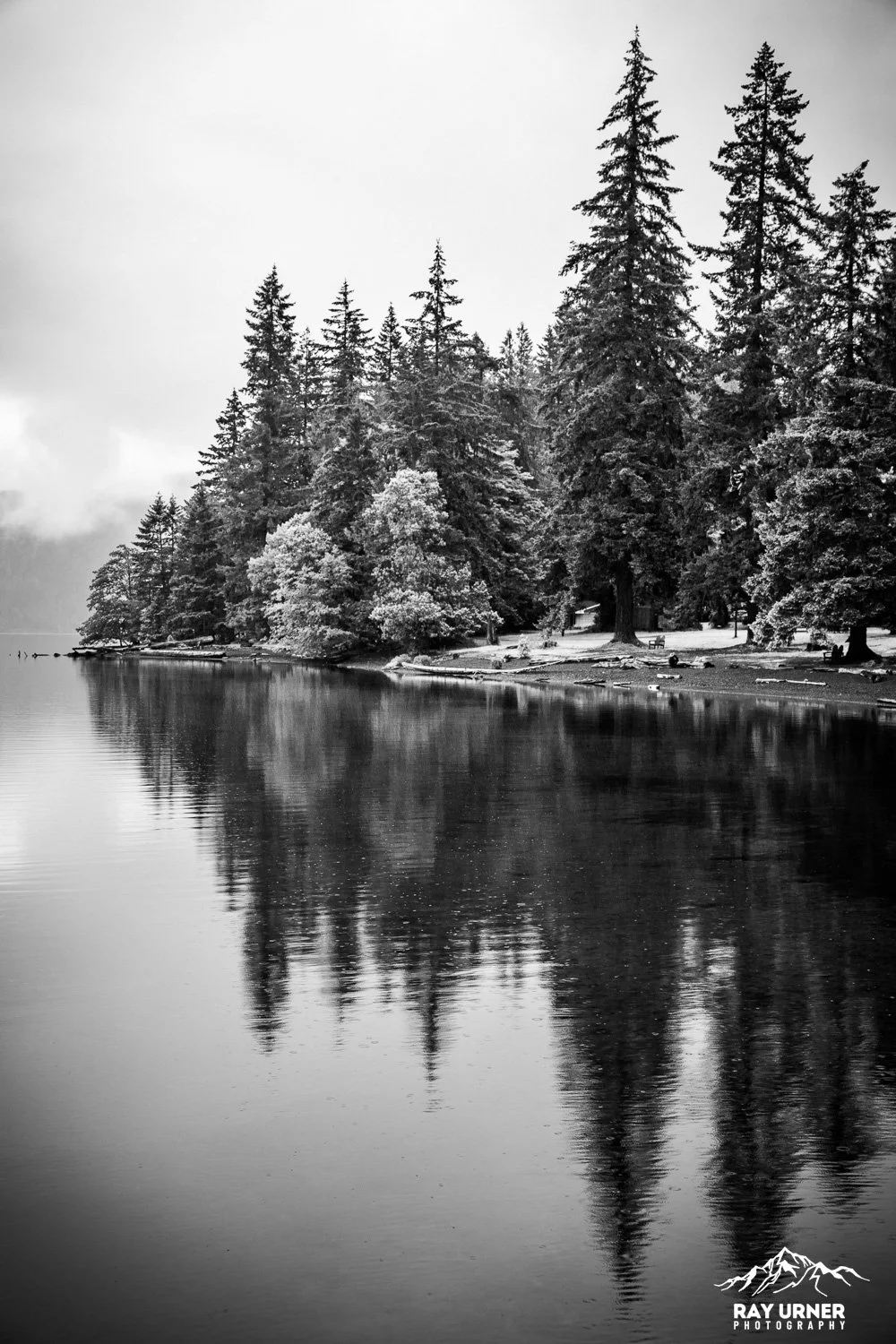 Lake-Crescent-Olympic-012.jpg