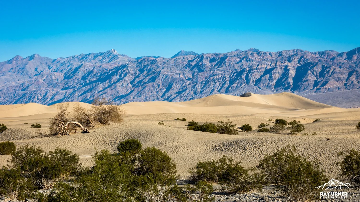 Death-Valley-Mesquite-Sand-Dunes-Sunrise-107.jpg