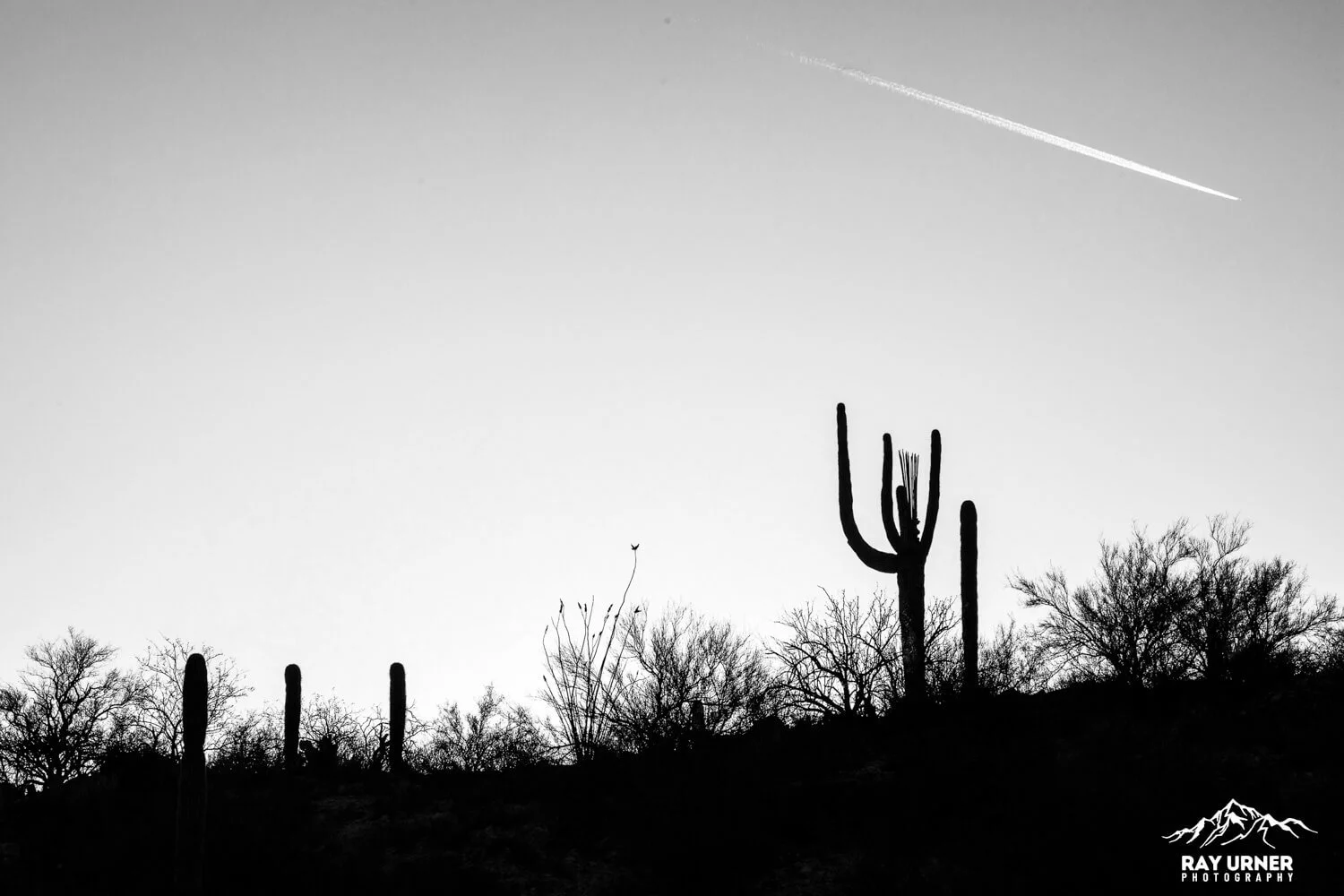 Saguaro-Rincon-Mountains-Overlook-005.jpg