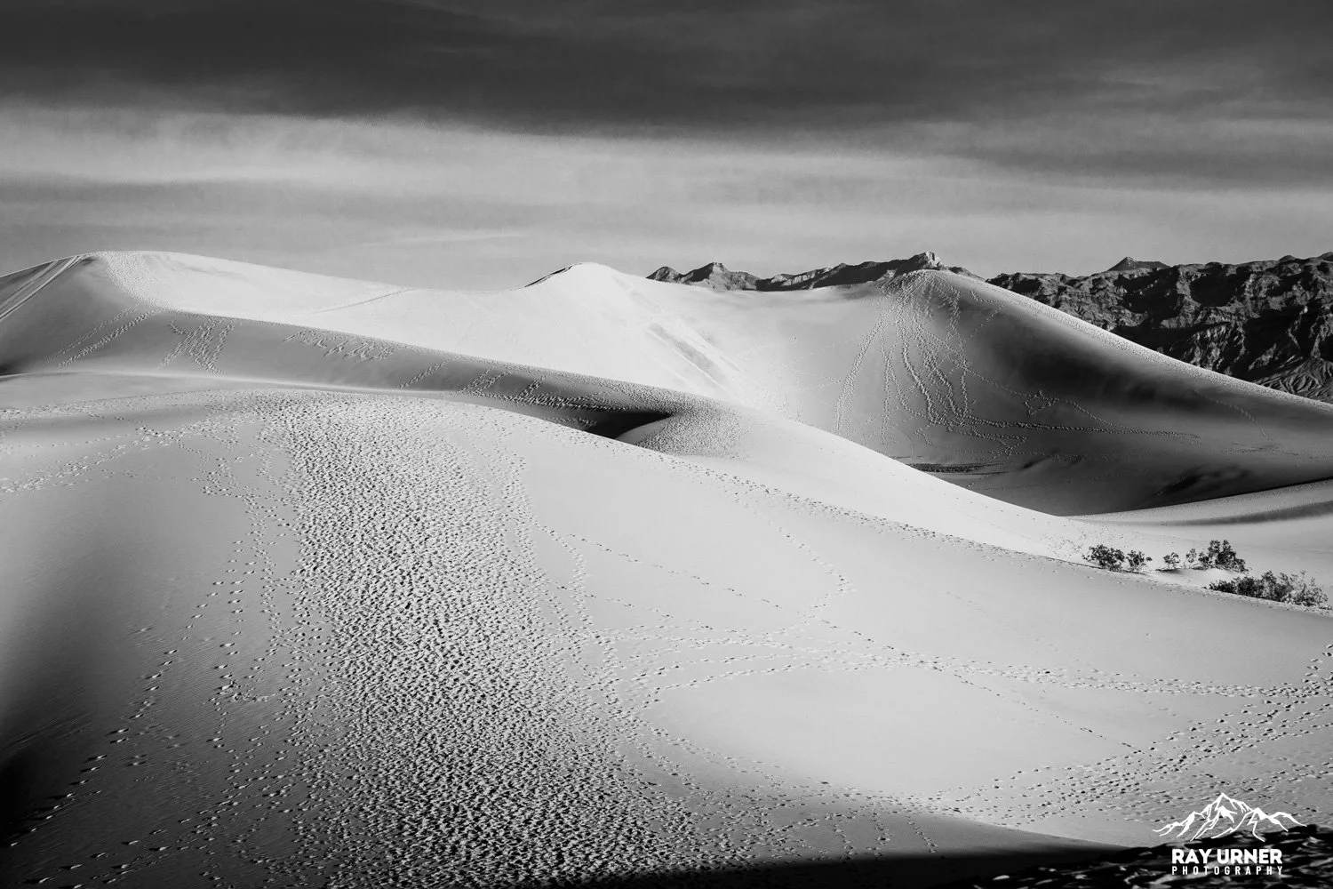 Death-Valley-Mesquite-Sand-Dunes-Sunrise-092.jpg