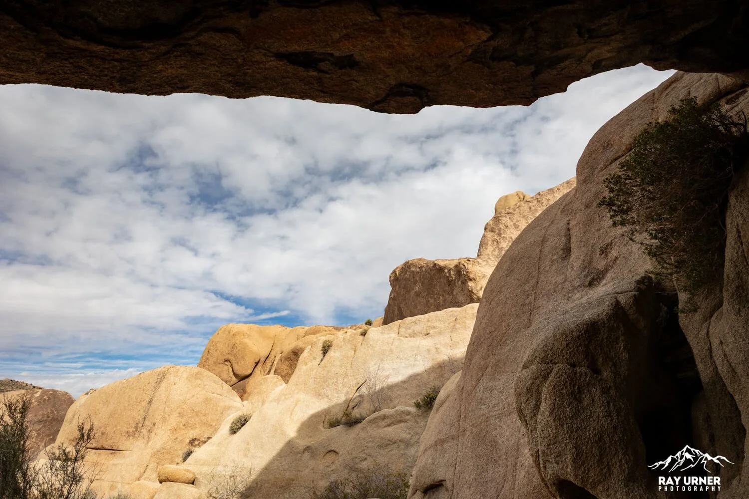 Joshua-Tree-Split-Rock-018.jpg