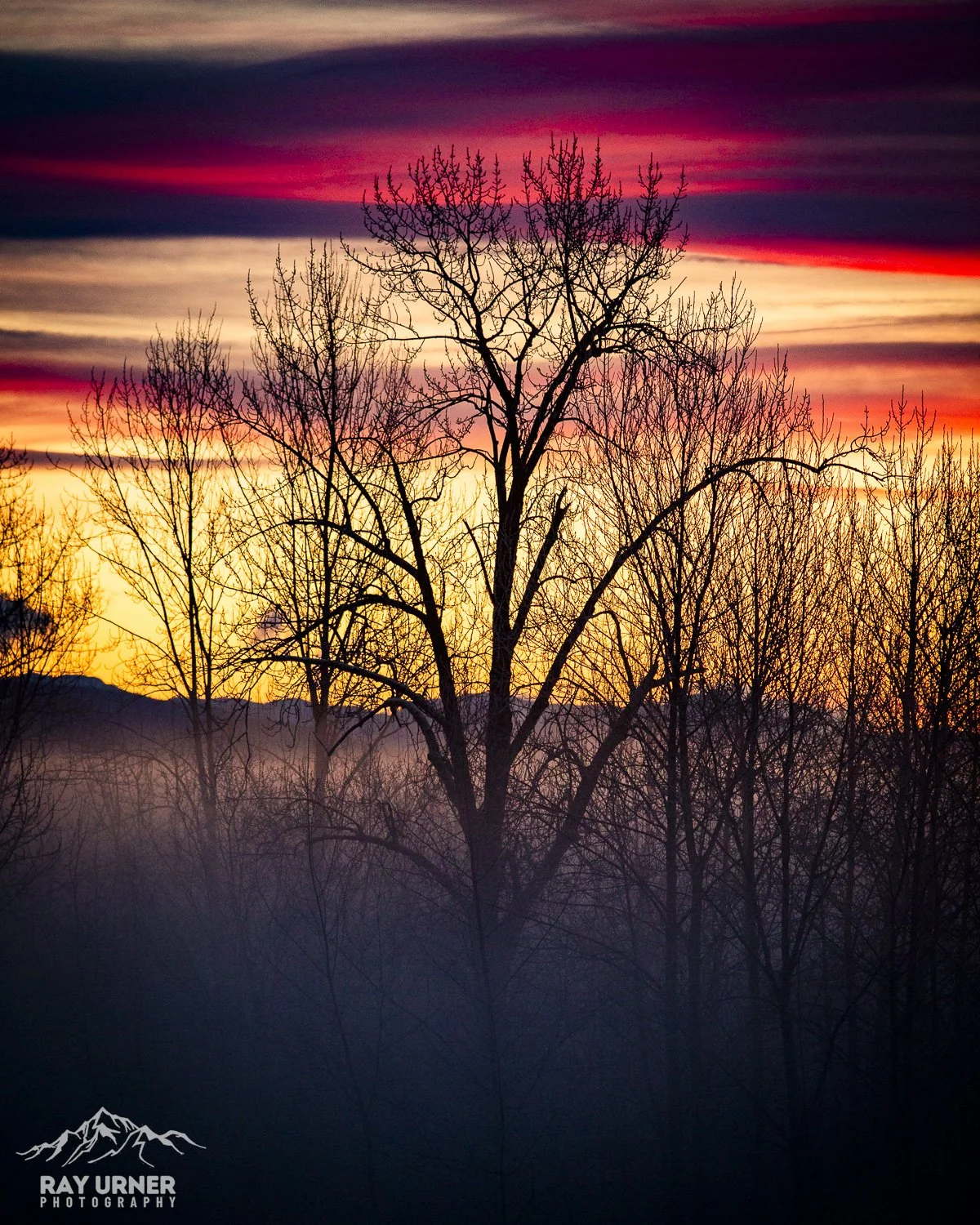 Intense sunrise colors