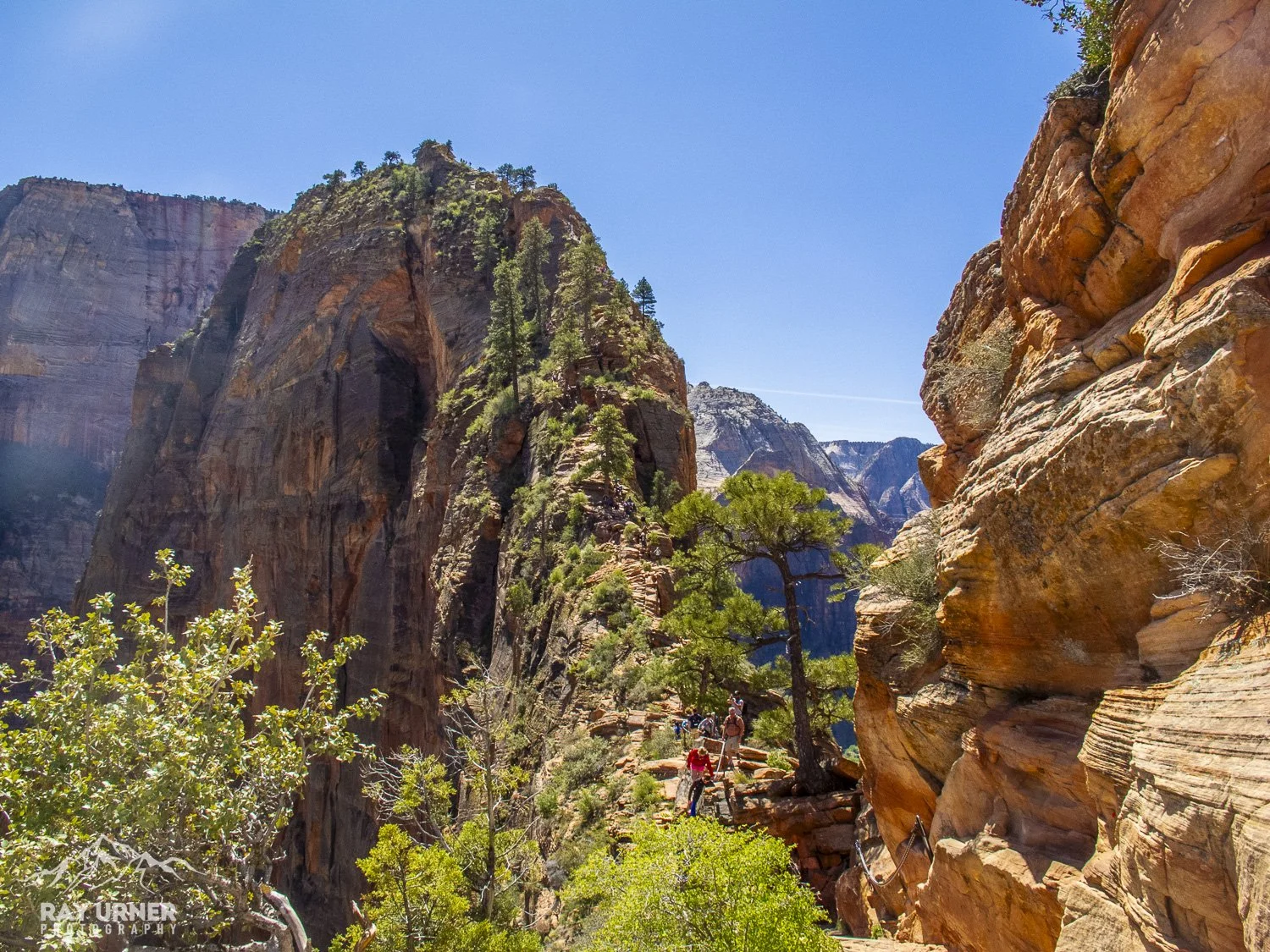 Hiking trail along a rocky canyon with large cliffs, trees, and a clear blue sky.